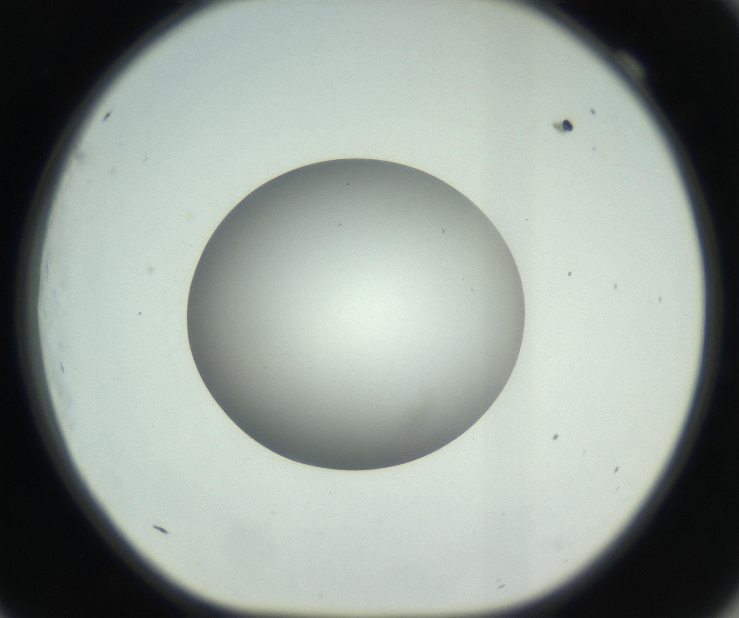 RI01_03_000_0212_Proj1_Clon1_MC_0000MC102736_004_160921_09_06_01_00_99_002_001_RAI.jpg