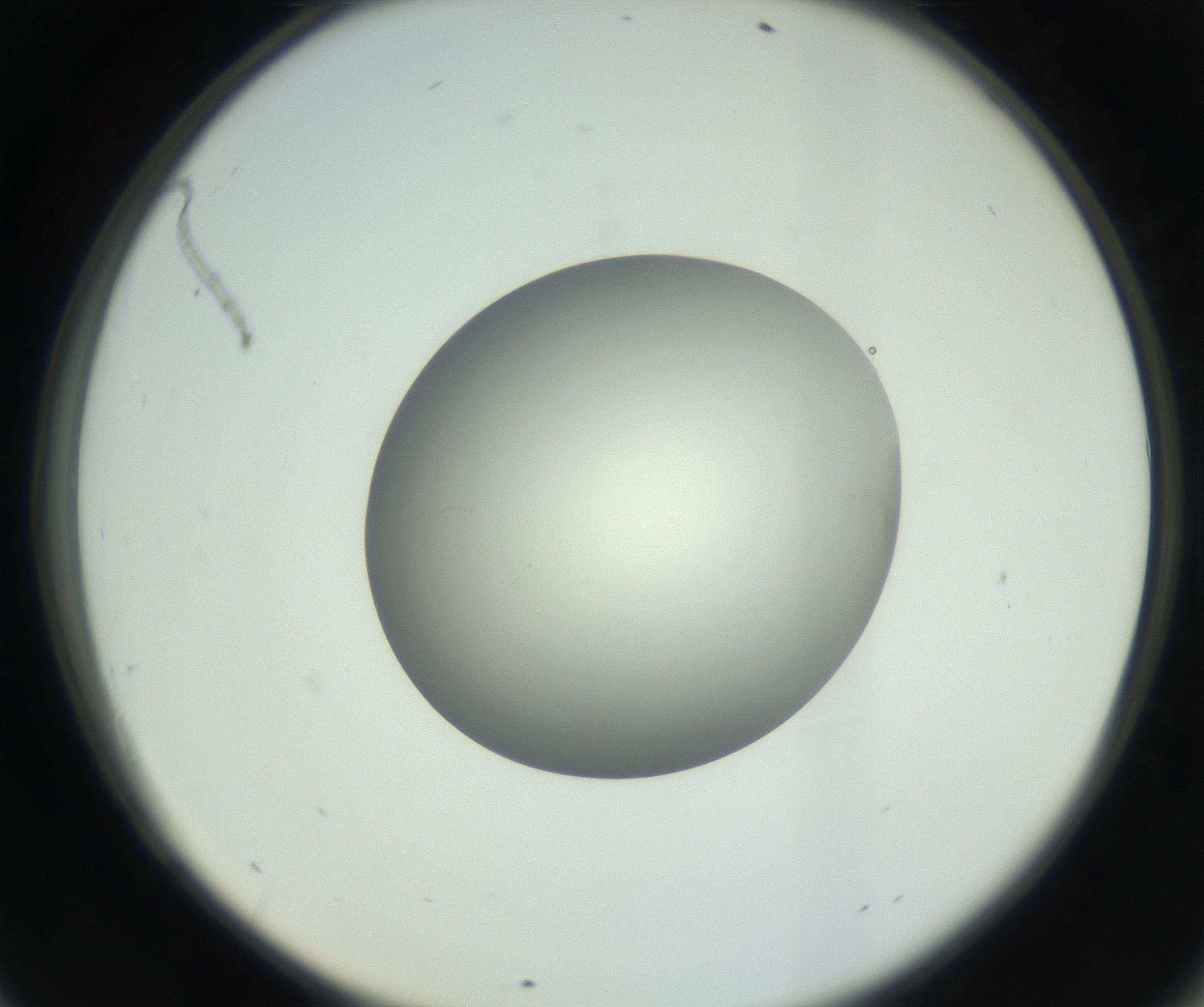 RI01_03_000_0212_Proj1_Clon1_MC_0000MC102736_004_160921_09_06_02_00_99_002_001_RAI.jpg