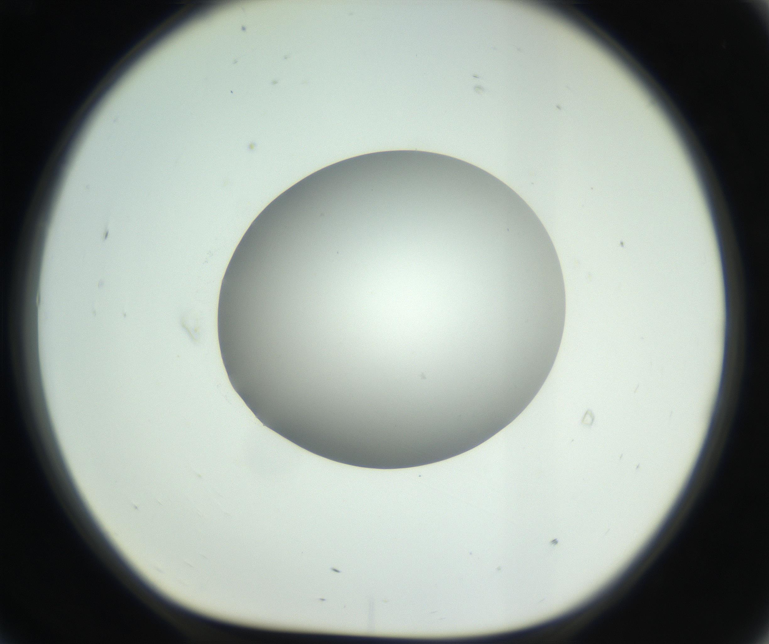 RI01_03_000_0212_Proj1_Clon1_MC_0000MC102736_004_160921_09_07_01_00_99_002_001_RAI.jpg
