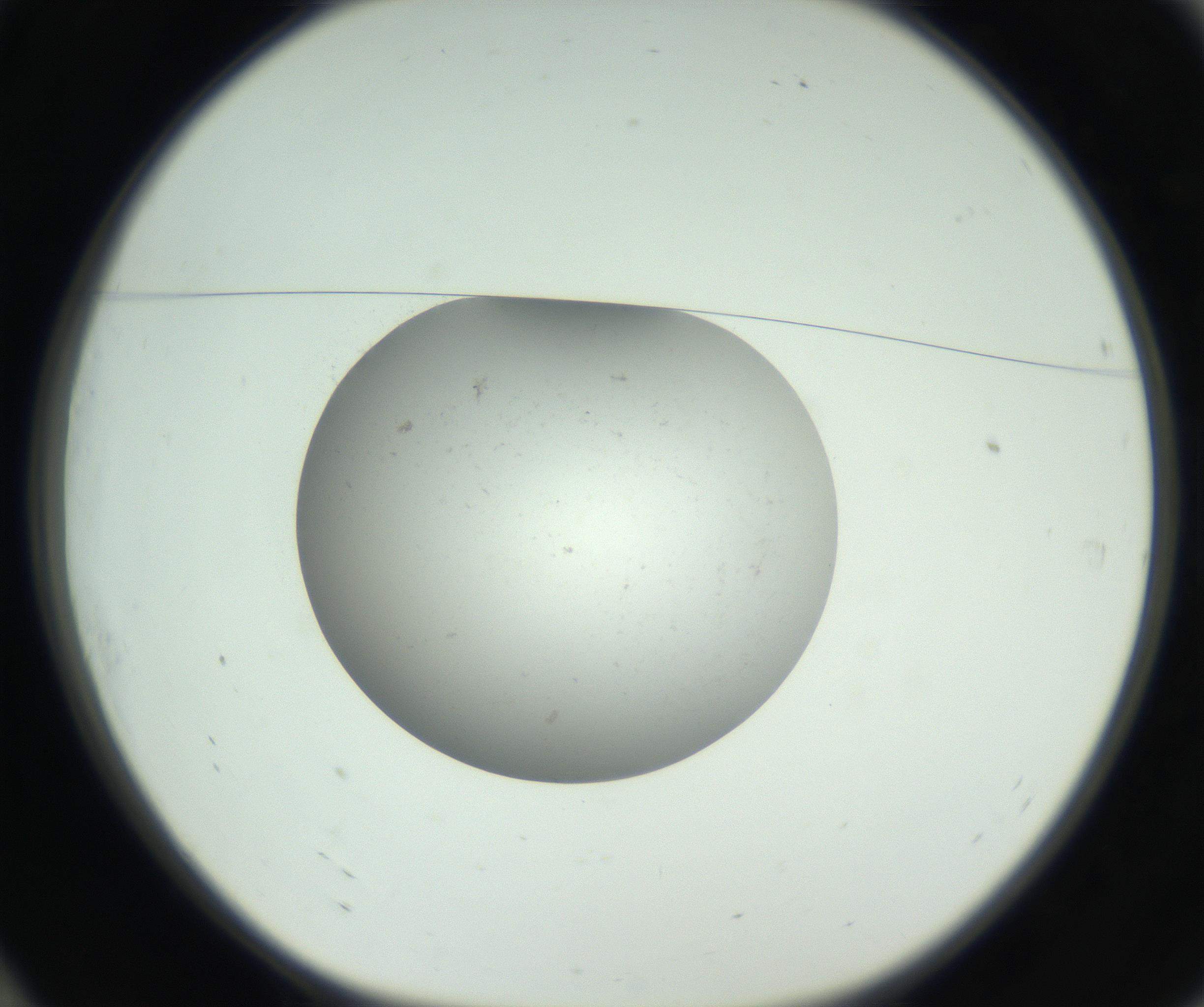 RI01_03_000_0212_Proj1_Clon1_MC_0000MC102736_004_160921_10_01_01_00_99_002_001_RAI.jpg
