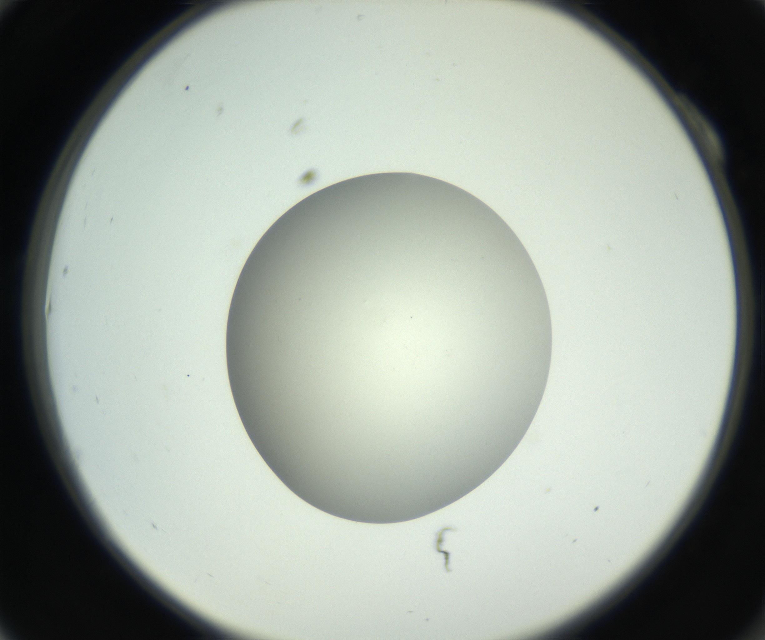 RI01_03_000_0212_Proj1_Clon1_MC_0000MC102736_004_160921_10_01_02_00_99_002_001_RAI.jpg