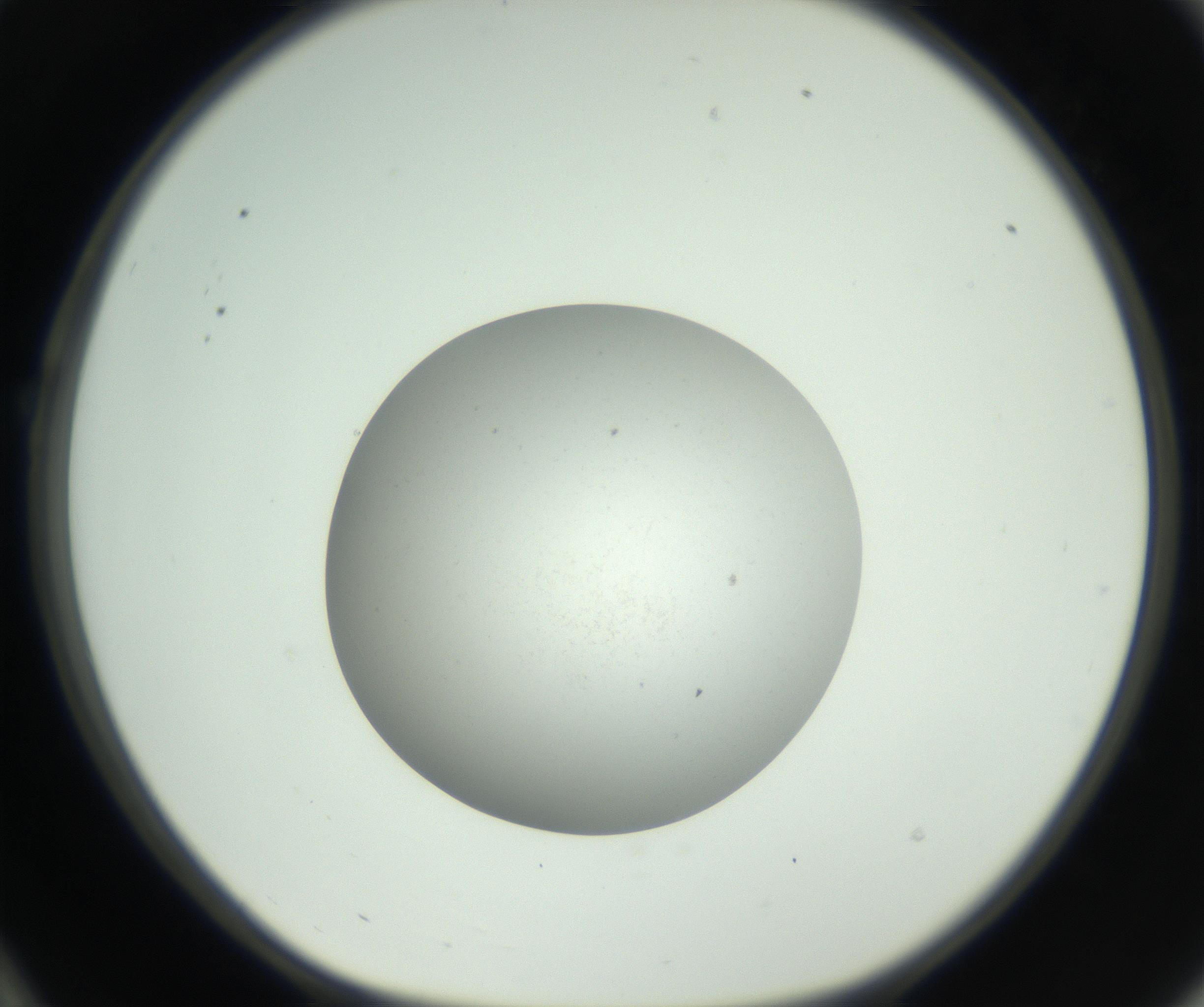 RI01_03_000_0212_Proj1_Clon1_MC_0000MC102736_004_160921_10_02_01_00_99_002_001_RAI.jpg