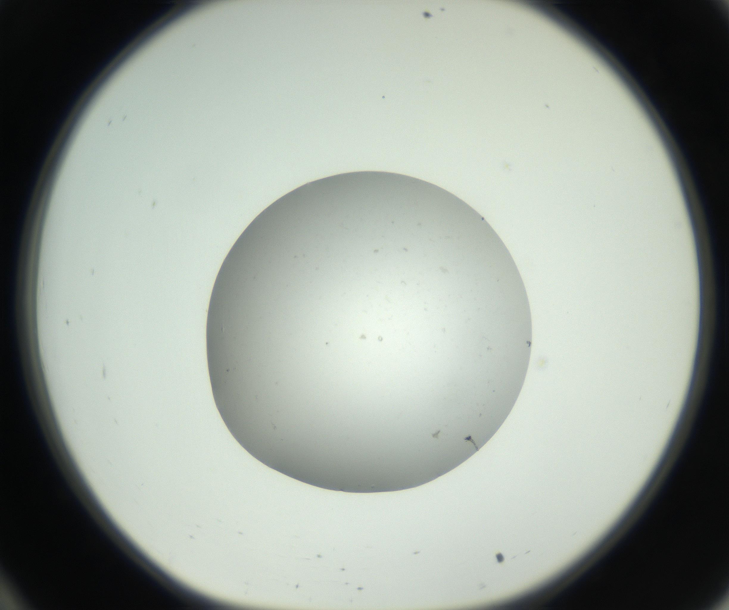 RI01_03_000_0212_Proj1_Clon1_MC_0000MC102736_004_160921_10_03_01_00_99_002_001_RAI.jpg