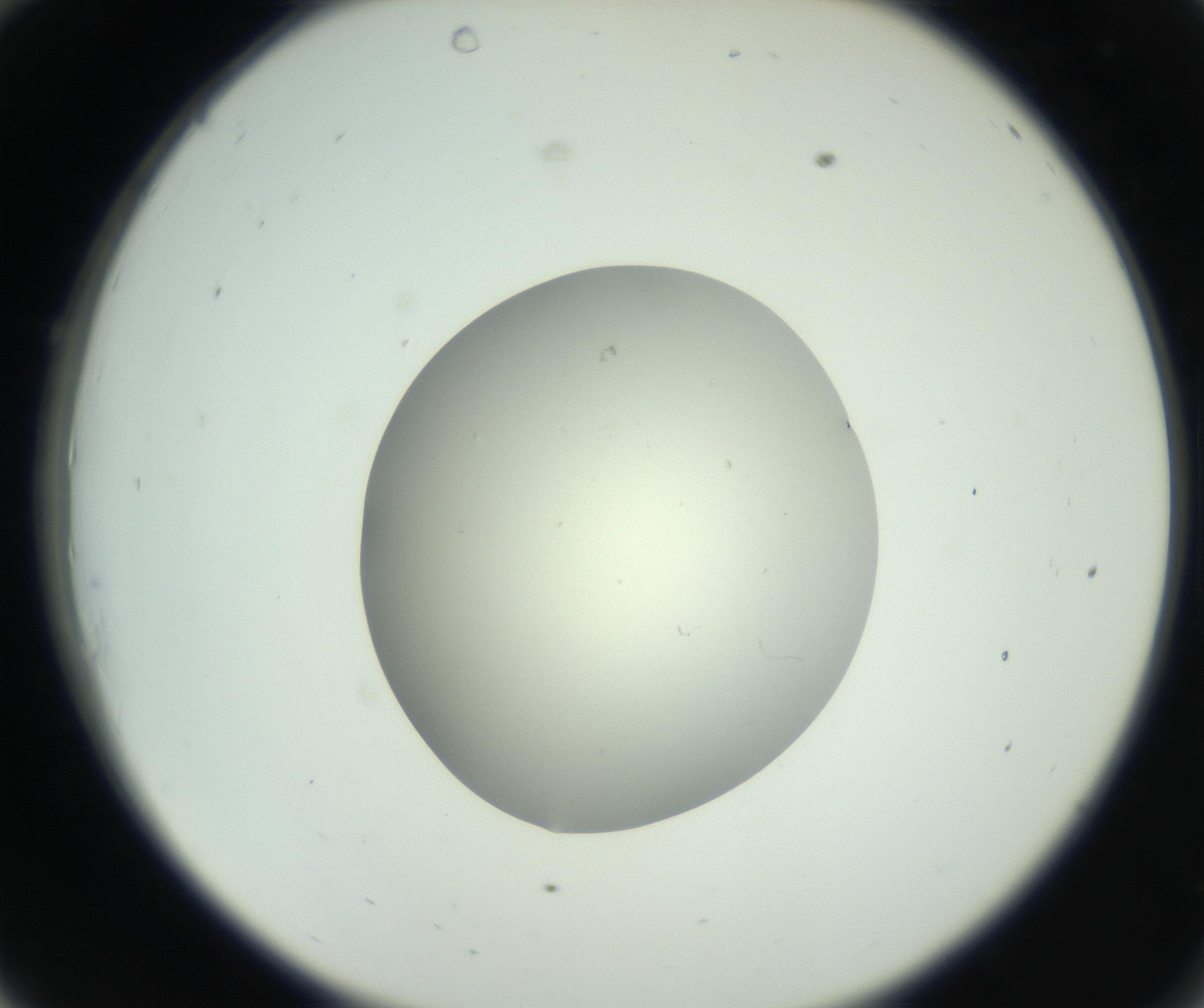 RI01_03_000_0212_Proj1_Clon1_MC_0000MC102736_004_160921_10_03_02_00_99_002_001_RAI.jpg