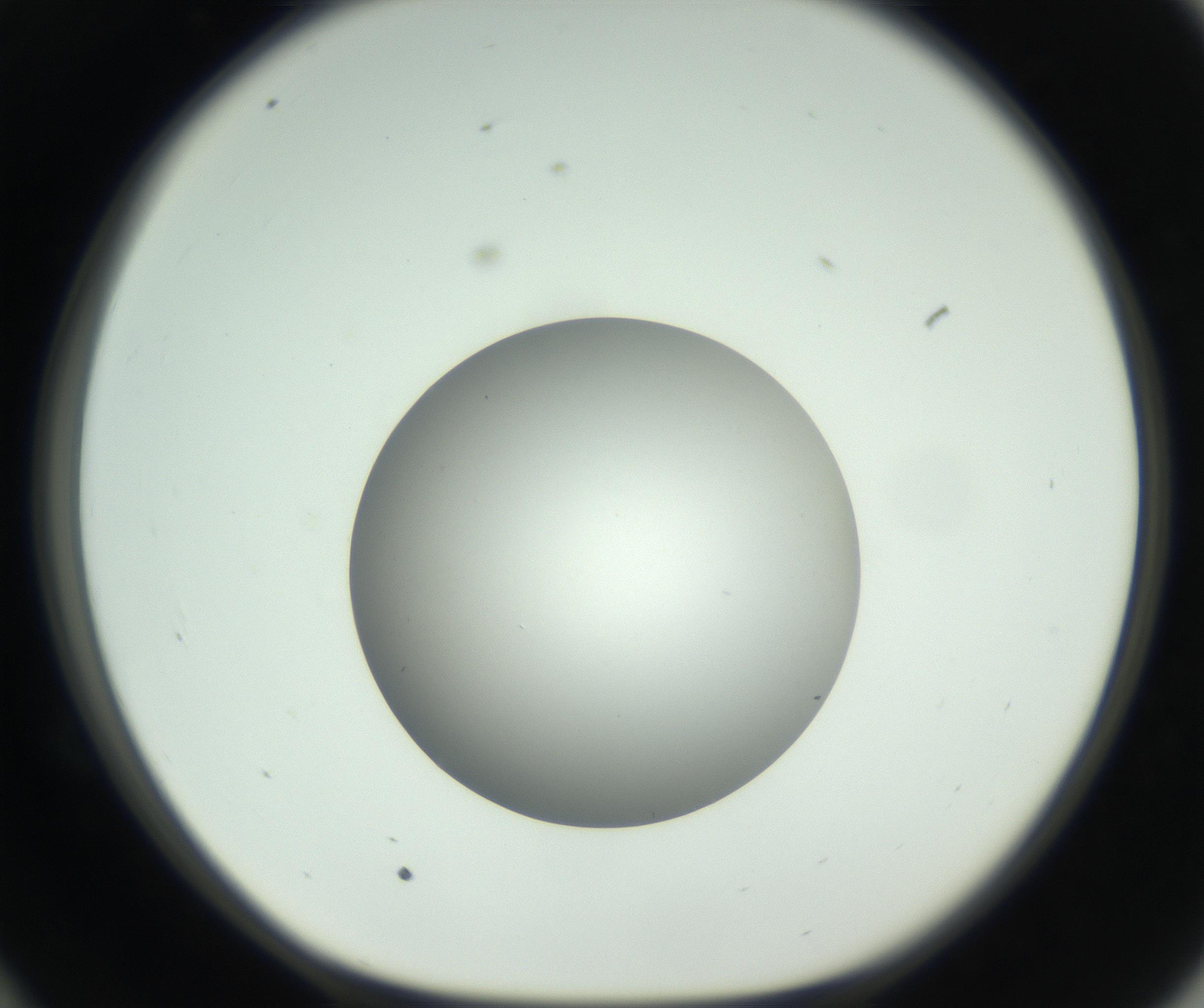 RI01_03_000_0212_Proj1_Clon1_MC_0000MC102736_004_160921_10_05_01_00_99_002_001_RAI.jpg
