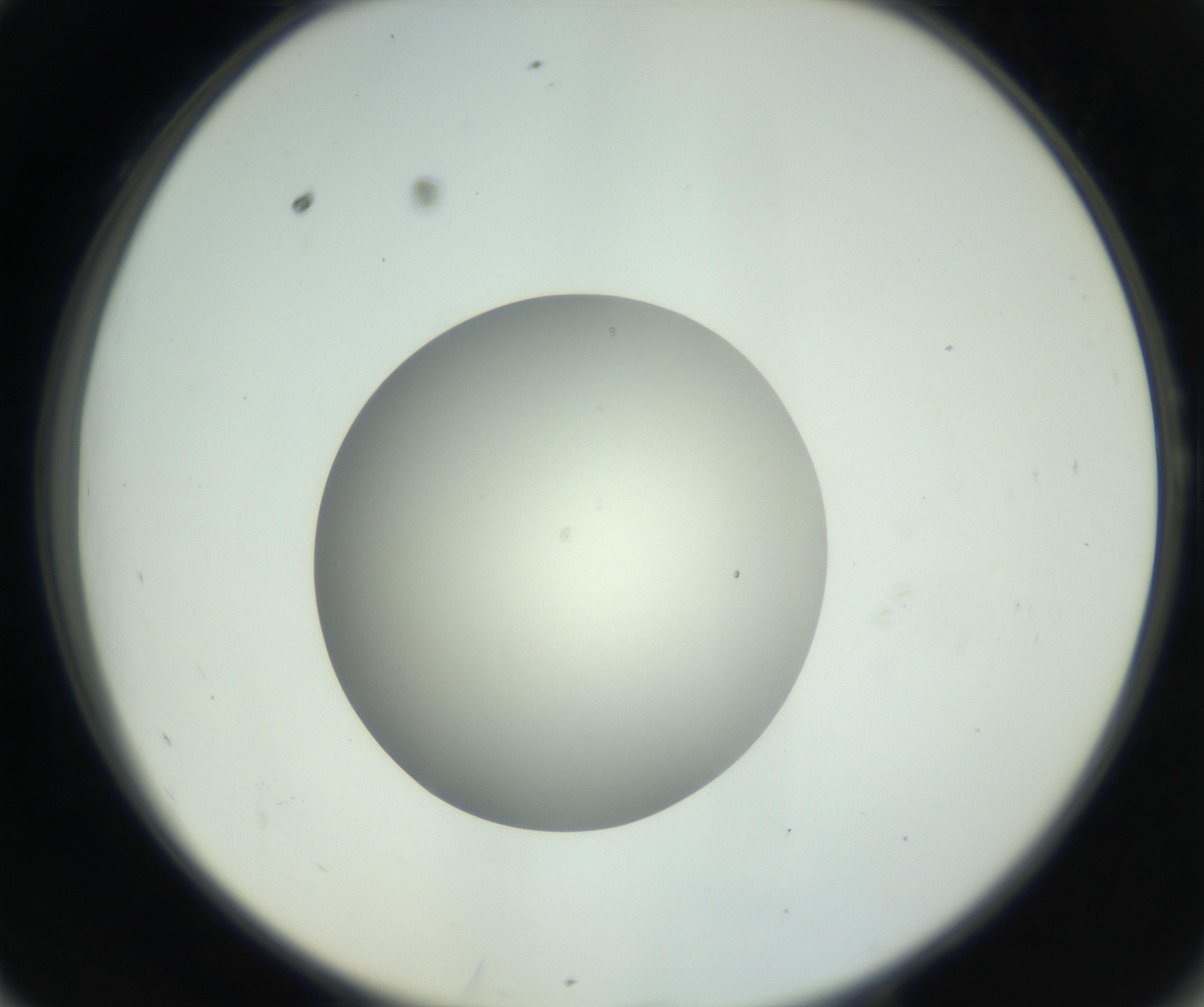 RI01_03_000_0212_Proj1_Clon1_MC_0000MC102736_004_160921_10_05_02_00_99_002_001_RAI.jpg