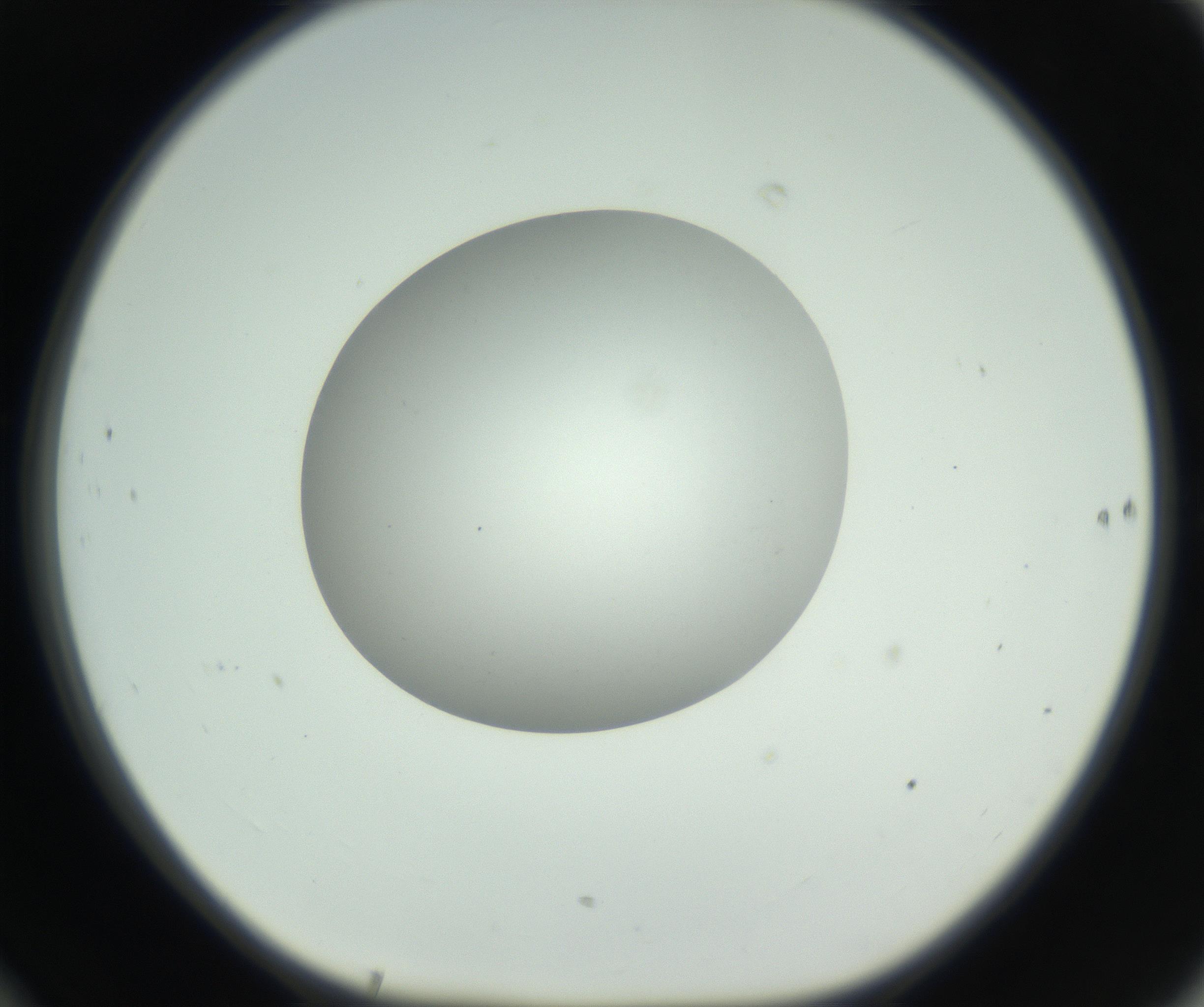 RI01_03_000_0212_Proj1_Clon1_MC_0000MC102736_004_160921_10_06_01_00_99_002_001_RAI.jpg