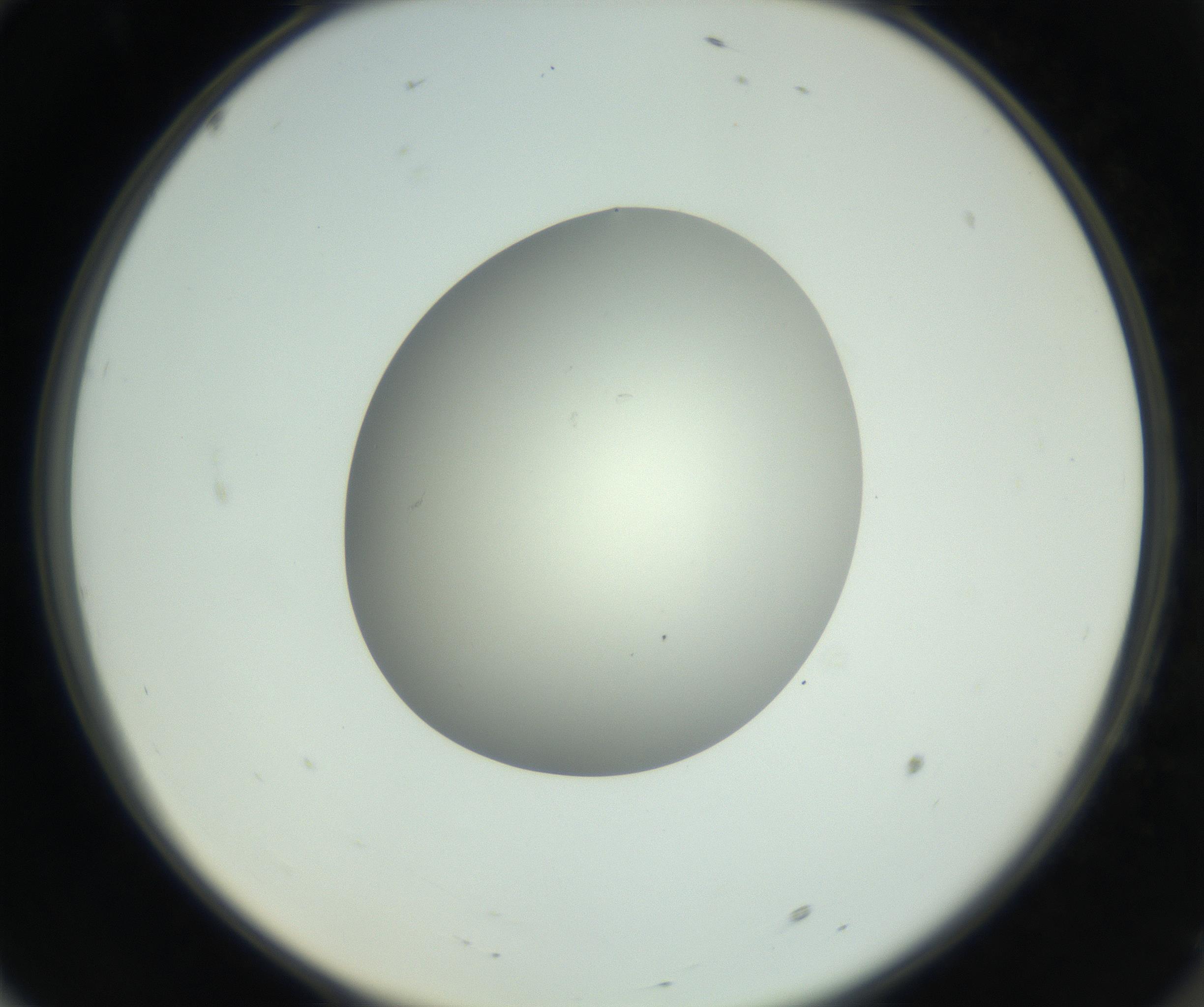RI01_03_000_0212_Proj1_Clon1_MC_0000MC102736_004_160921_10_06_02_00_99_002_001_RAI.jpg