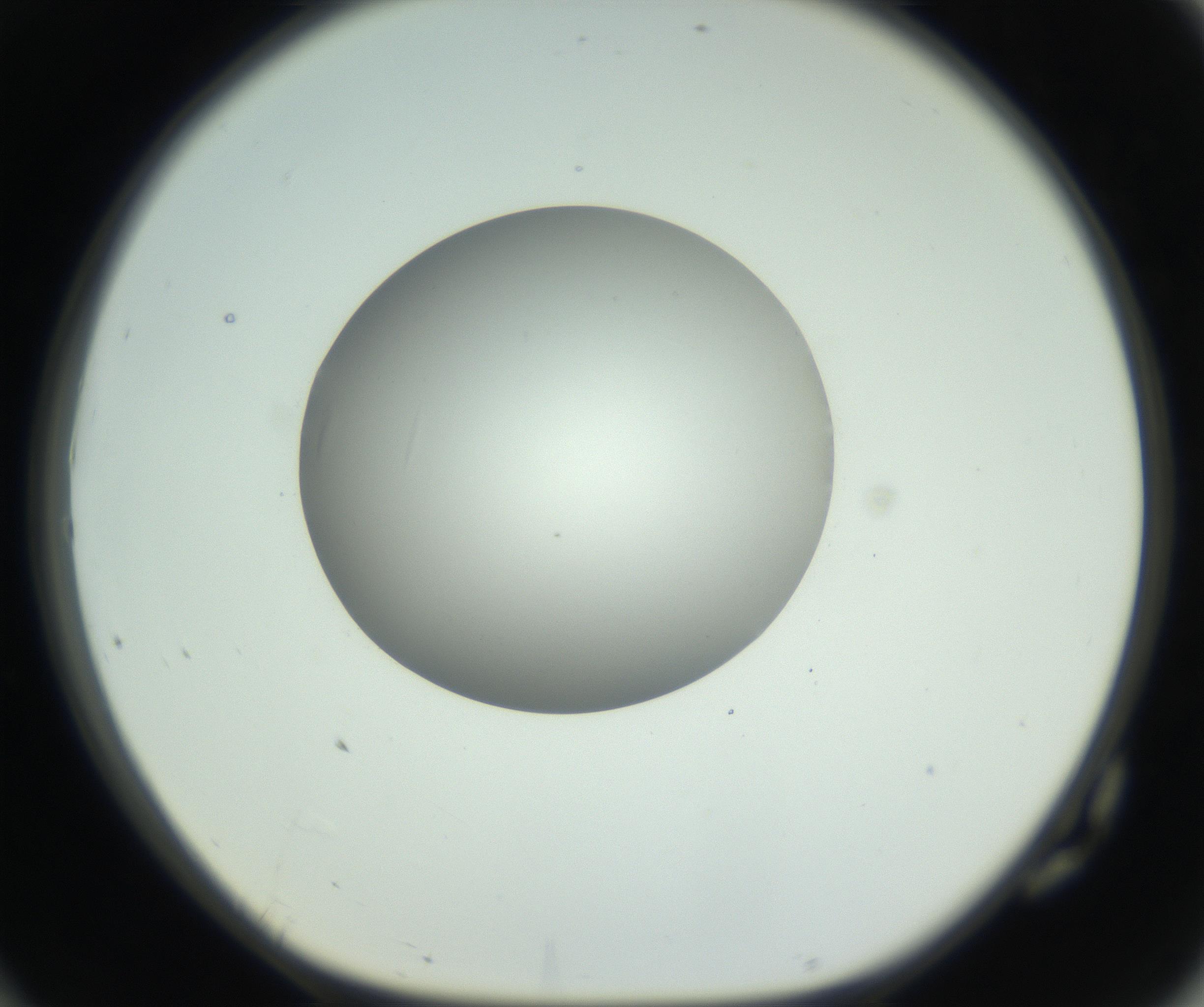 RI01_03_000_0212_Proj1_Clon1_MC_0000MC102736_004_160921_10_07_01_00_99_002_001_RAI.jpg