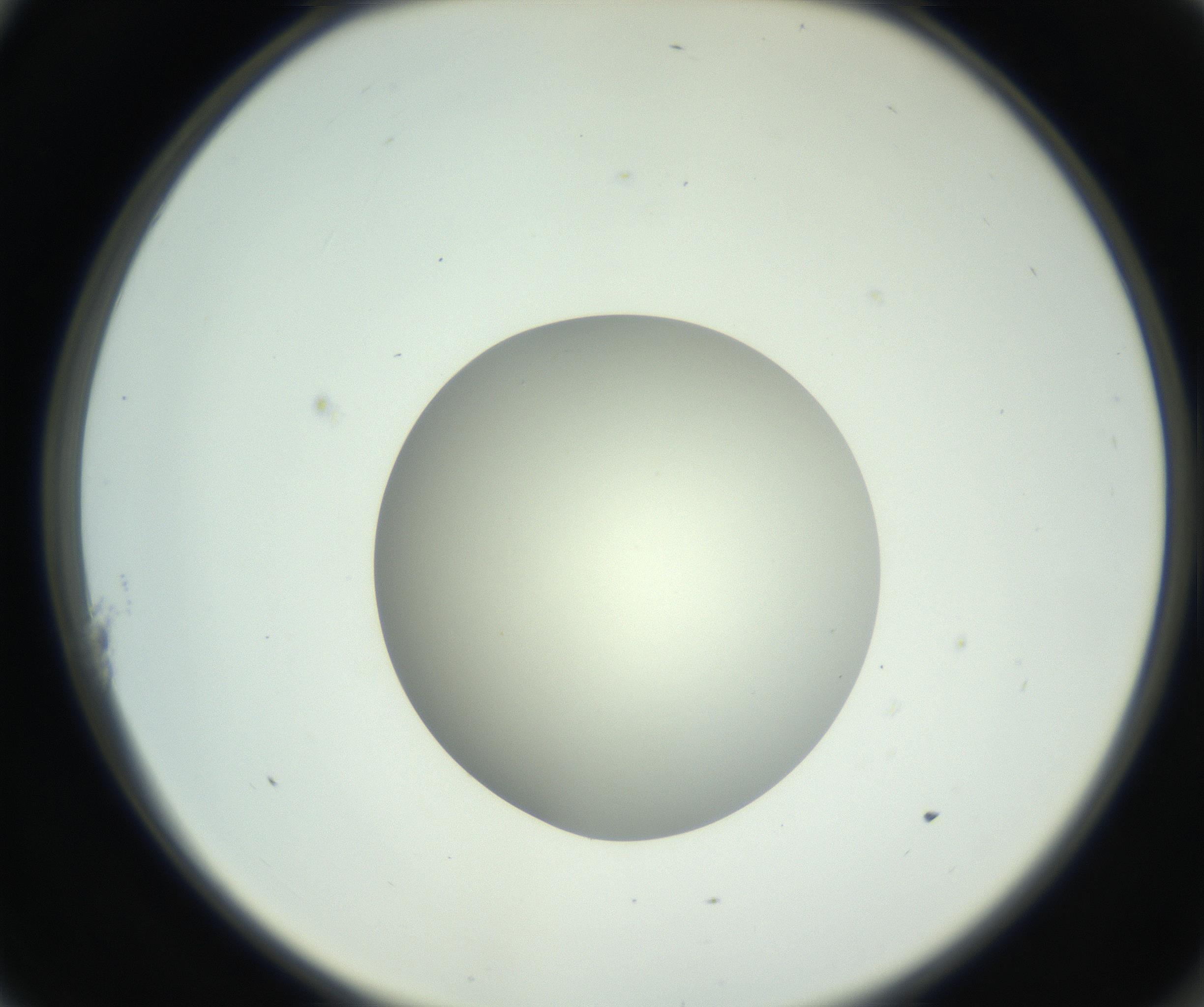 RI01_03_000_0212_Proj1_Clon1_MC_0000MC102736_004_160921_11_01_02_00_99_002_001_RAI.jpg