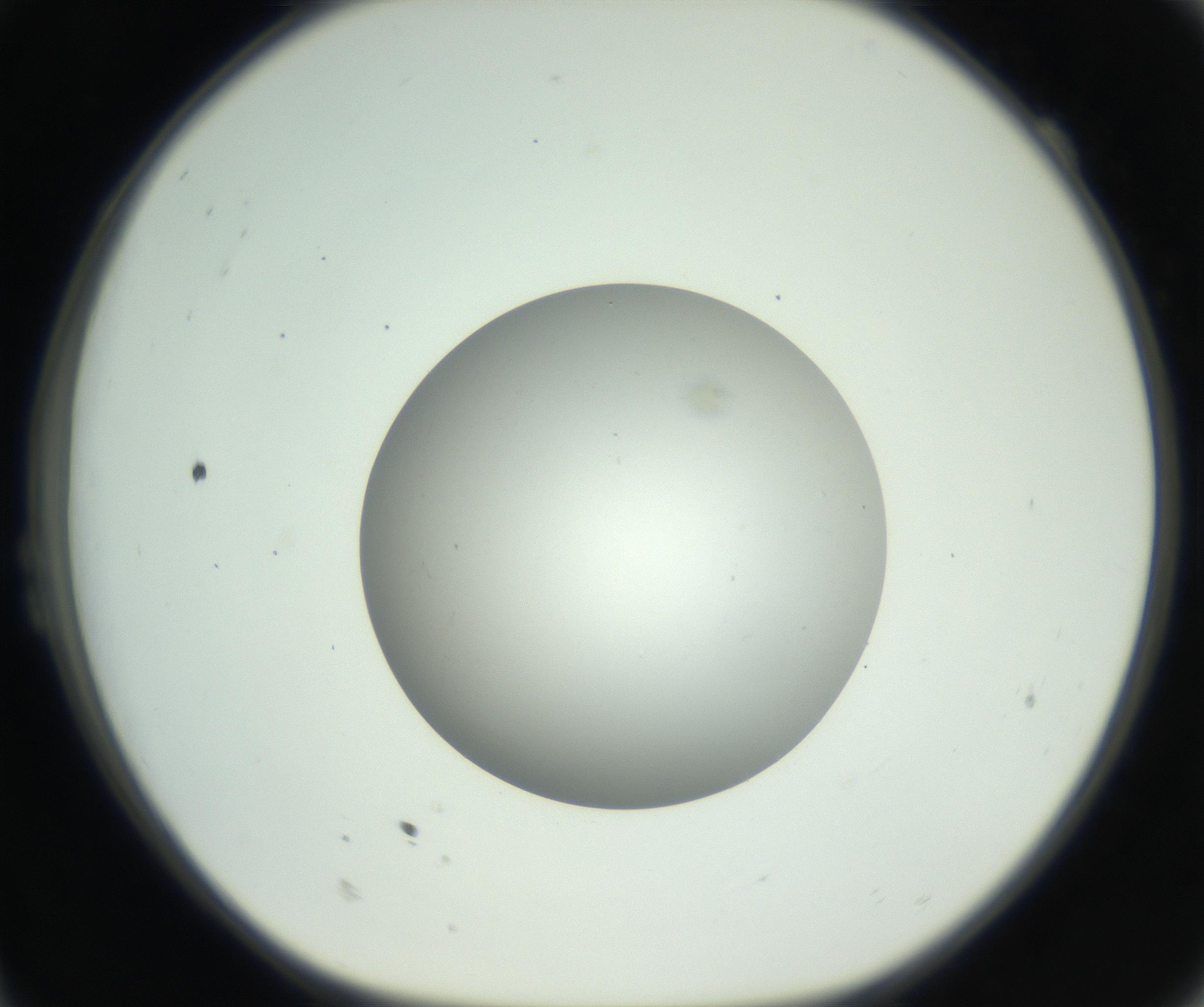 RI01_03_000_0212_Proj1_Clon1_MC_0000MC102736_004_160921_11_02_01_00_99_002_001_RAI.jpg
