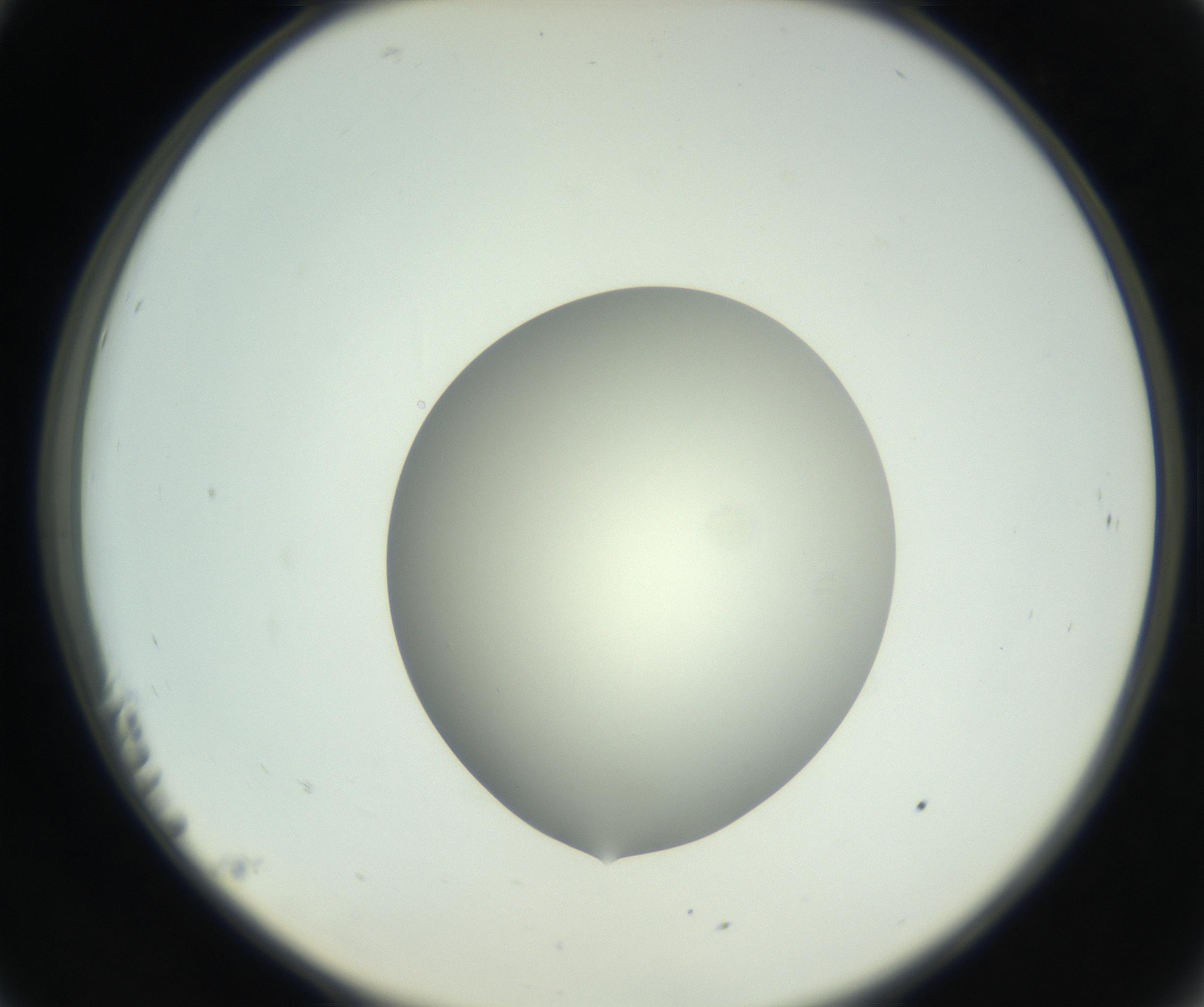 RI01_03_000_0212_Proj1_Clon1_MC_0000MC102736_004_160921_11_02_02_00_99_002_001_RAI.jpg