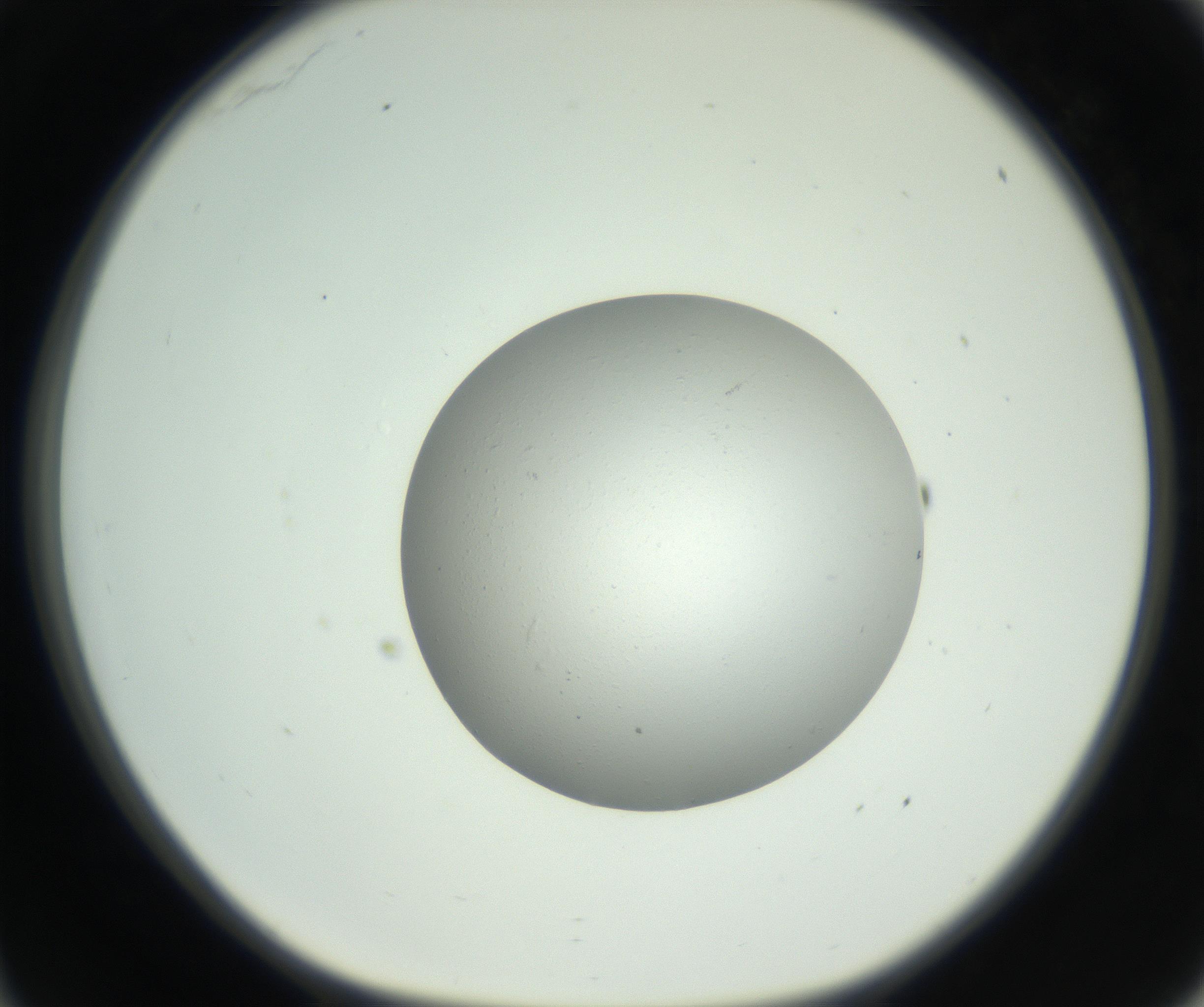 RI01_03_000_0212_Proj1_Clon1_MC_0000MC102736_004_160921_11_03_01_00_99_002_001_RAI.jpg
