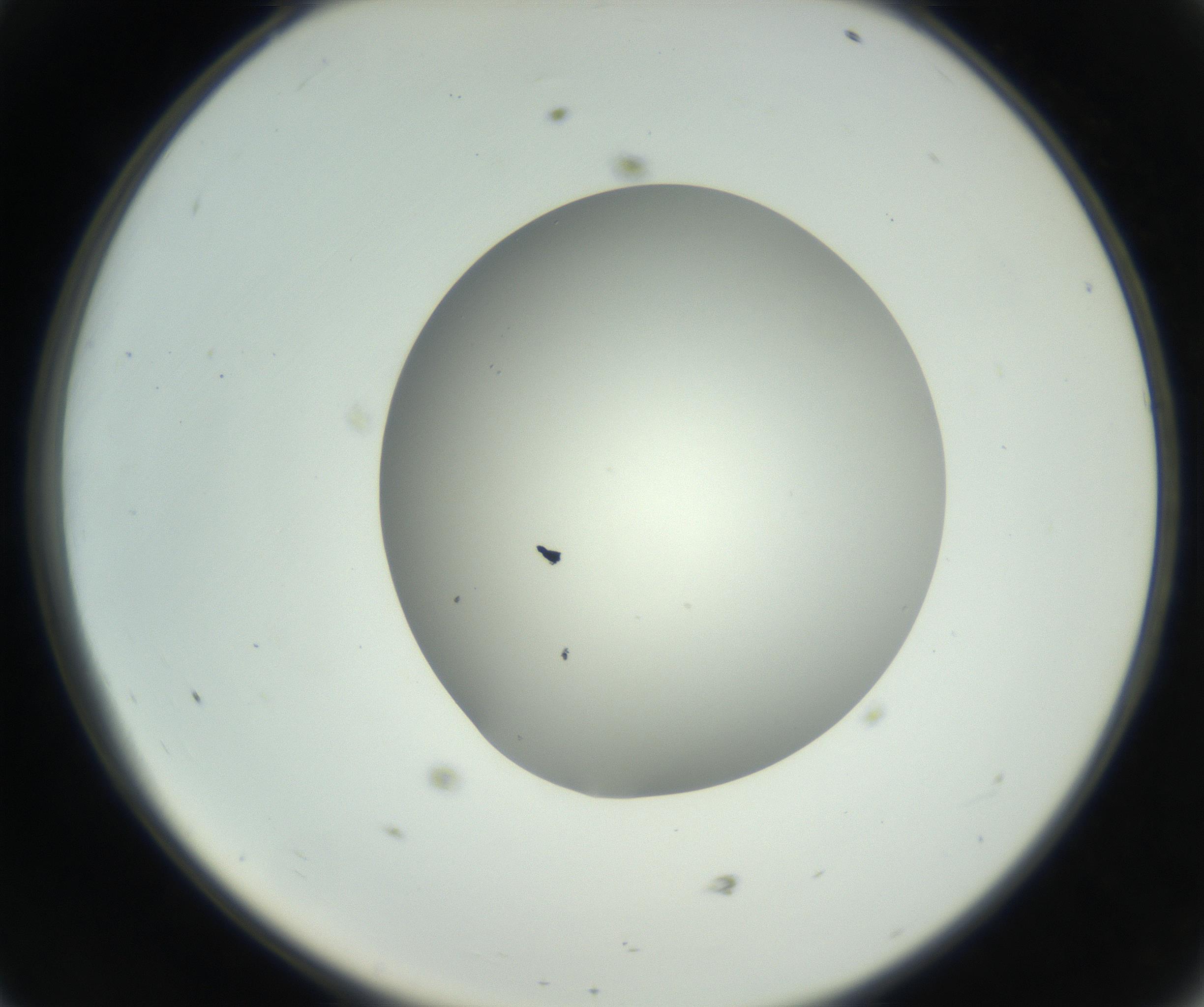 RI01_03_000_0212_Proj1_Clon1_MC_0000MC102736_004_160921_11_04_02_00_99_002_001_RAI.jpg