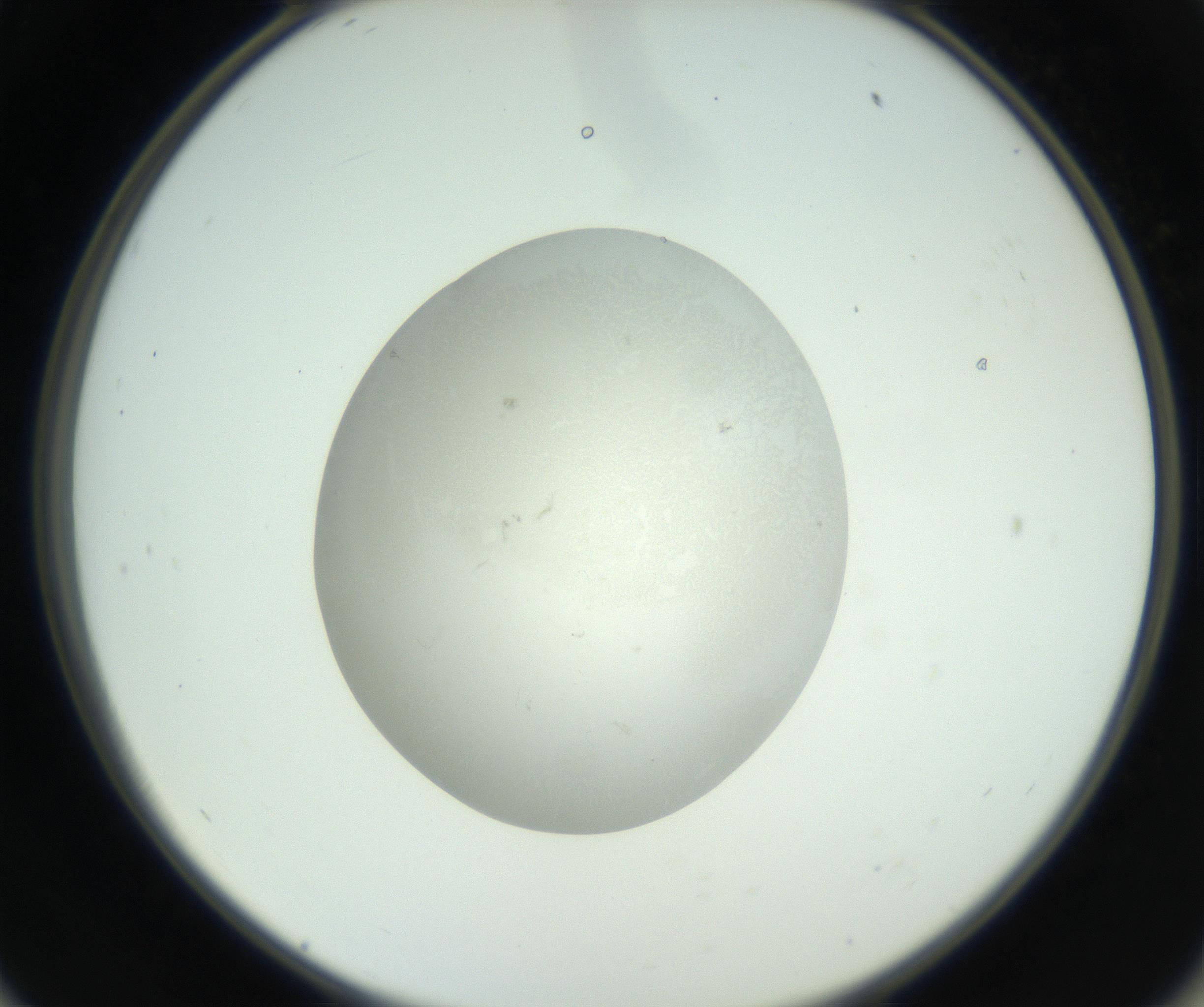 RI01_03_000_0212_Proj1_Clon1_MC_0000MC102736_004_160921_11_05_02_00_99_002_001_RAI.jpg