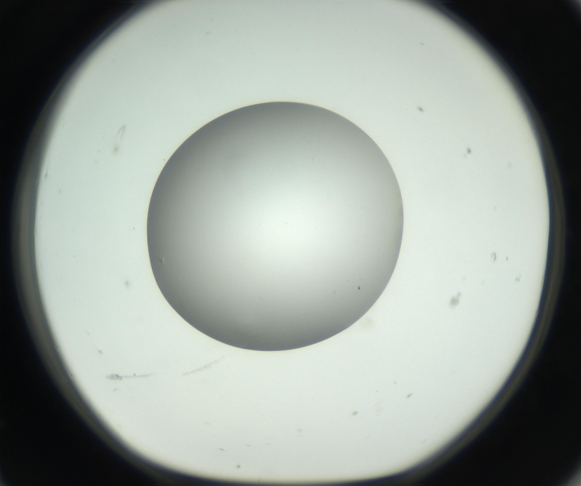 RI01_03_000_0212_Proj1_Clon1_MC_0000MC102736_004_160921_11_06_01_00_99_002_001_RAI.jpg