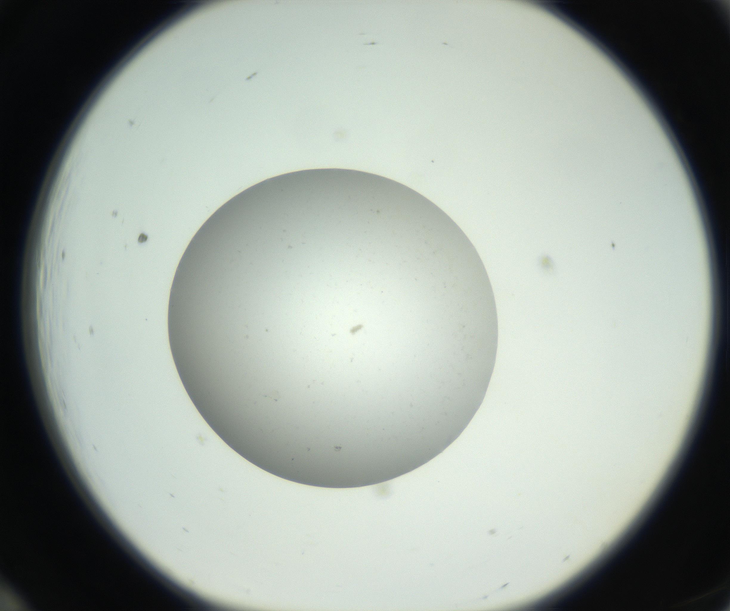 RI01_03_000_0212_Proj1_Clon1_MC_0000MC102736_004_160921_12_01_01_00_99_002_001_RAI.jpg
