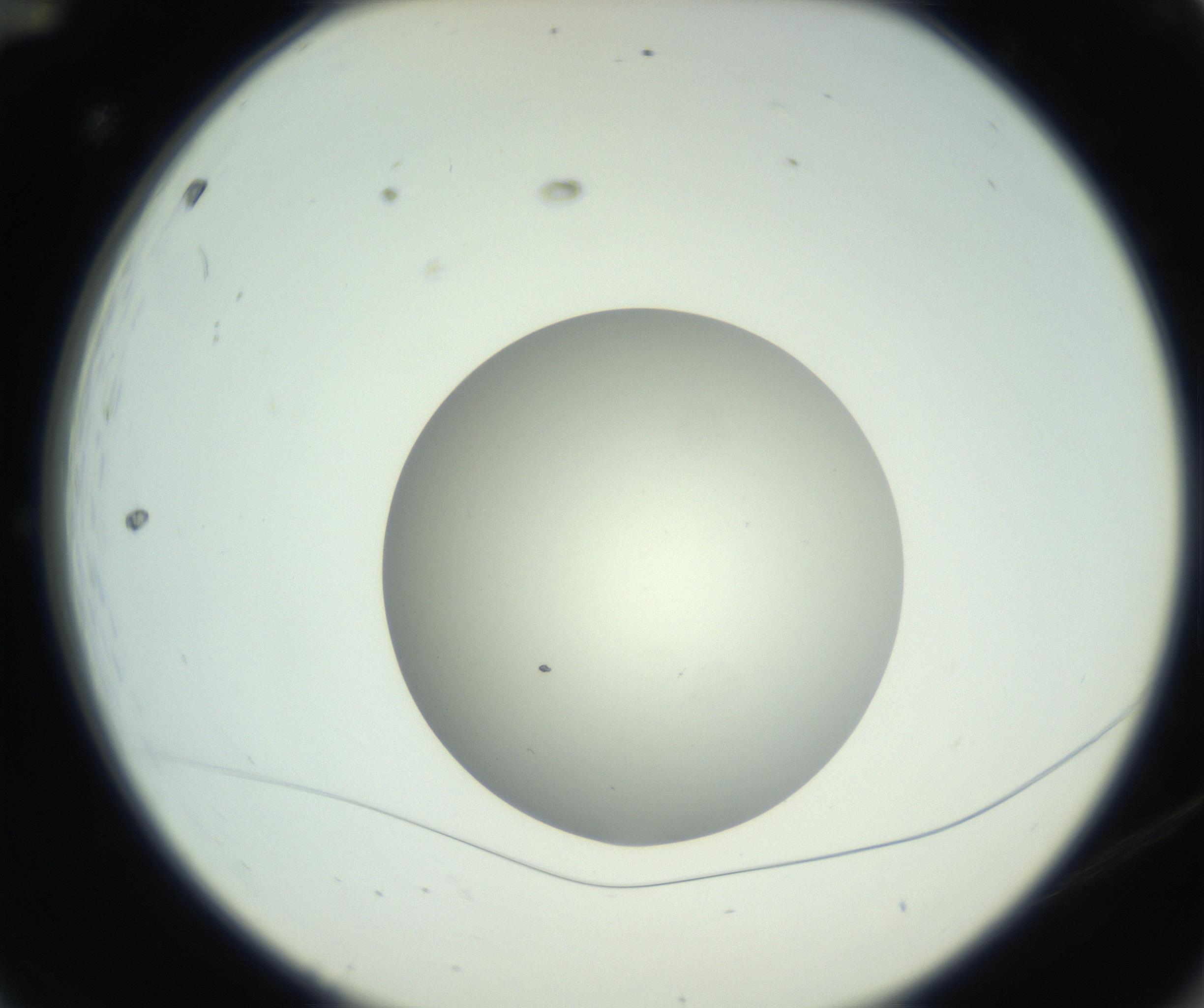 RI01_03_000_0212_Proj1_Clon1_MC_0000MC102736_004_160921_12_01_02_00_99_002_001_RAI.jpg
