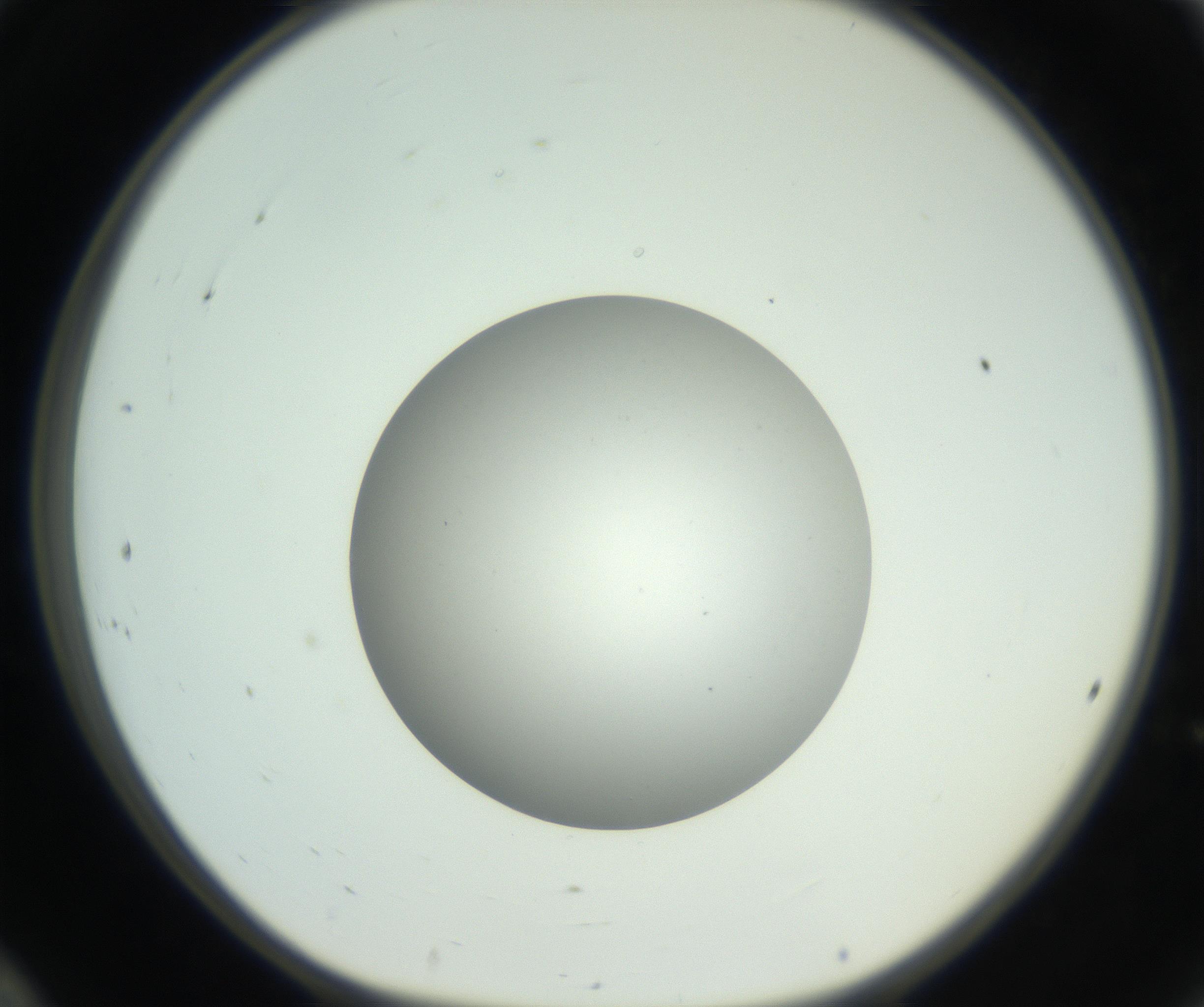 RI01_03_000_0212_Proj1_Clon1_MC_0000MC102736_004_160921_12_02_01_00_99_002_001_RAI.jpg