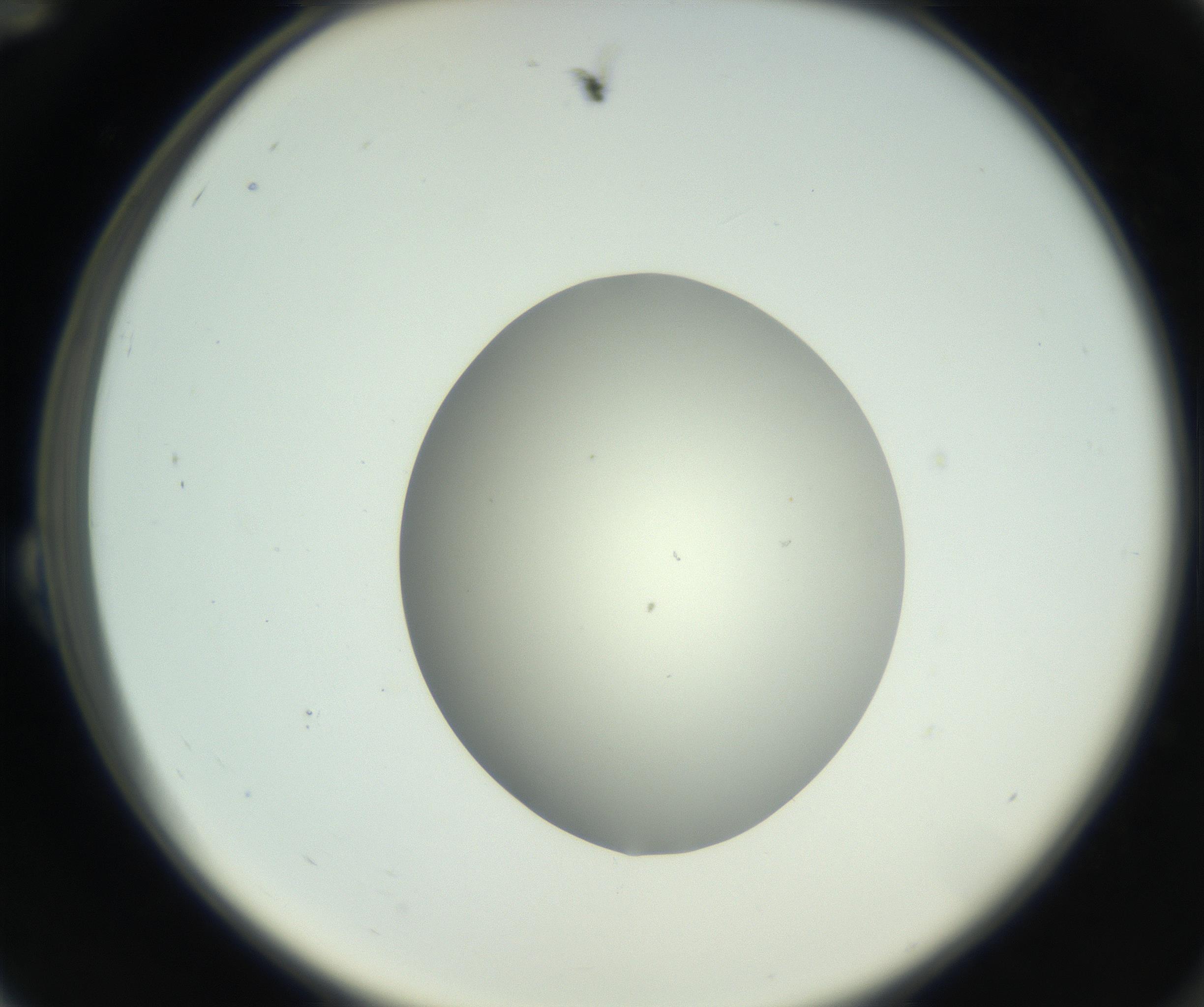 RI01_03_000_0212_Proj1_Clon1_MC_0000MC102736_004_160921_12_02_02_00_99_002_001_RAI.jpg