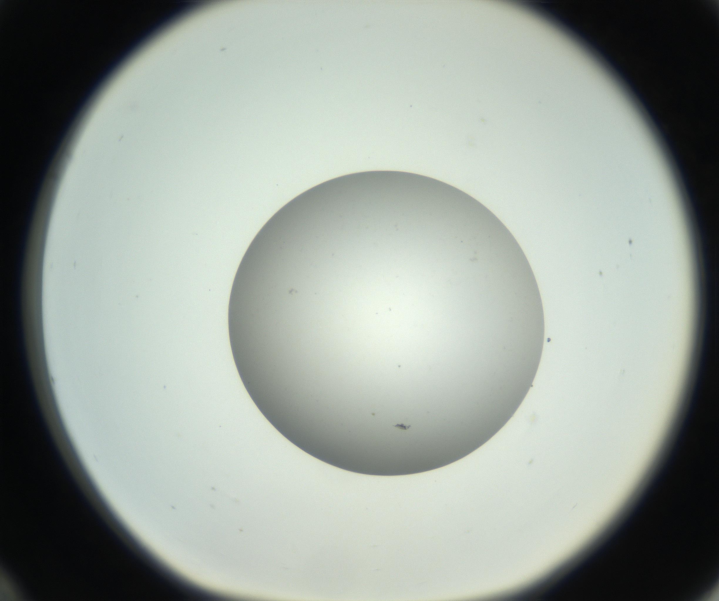 RI01_03_000_0212_Proj1_Clon1_MC_0000MC102736_004_160921_12_03_01_00_99_002_001_RAI.jpg