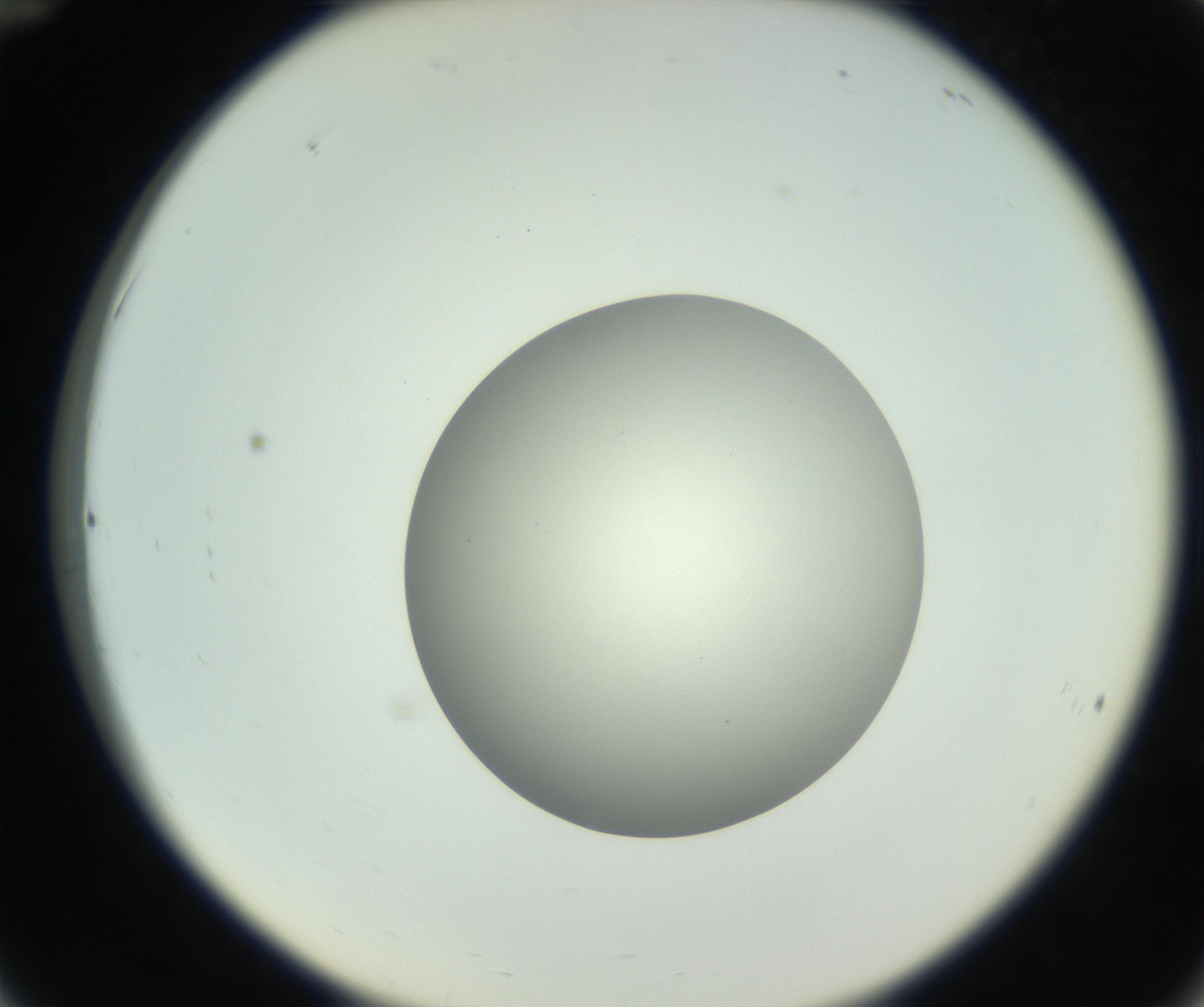 RI01_03_000_0212_Proj1_Clon1_MC_0000MC102736_004_160921_12_03_02_00_99_002_001_RAI.jpg