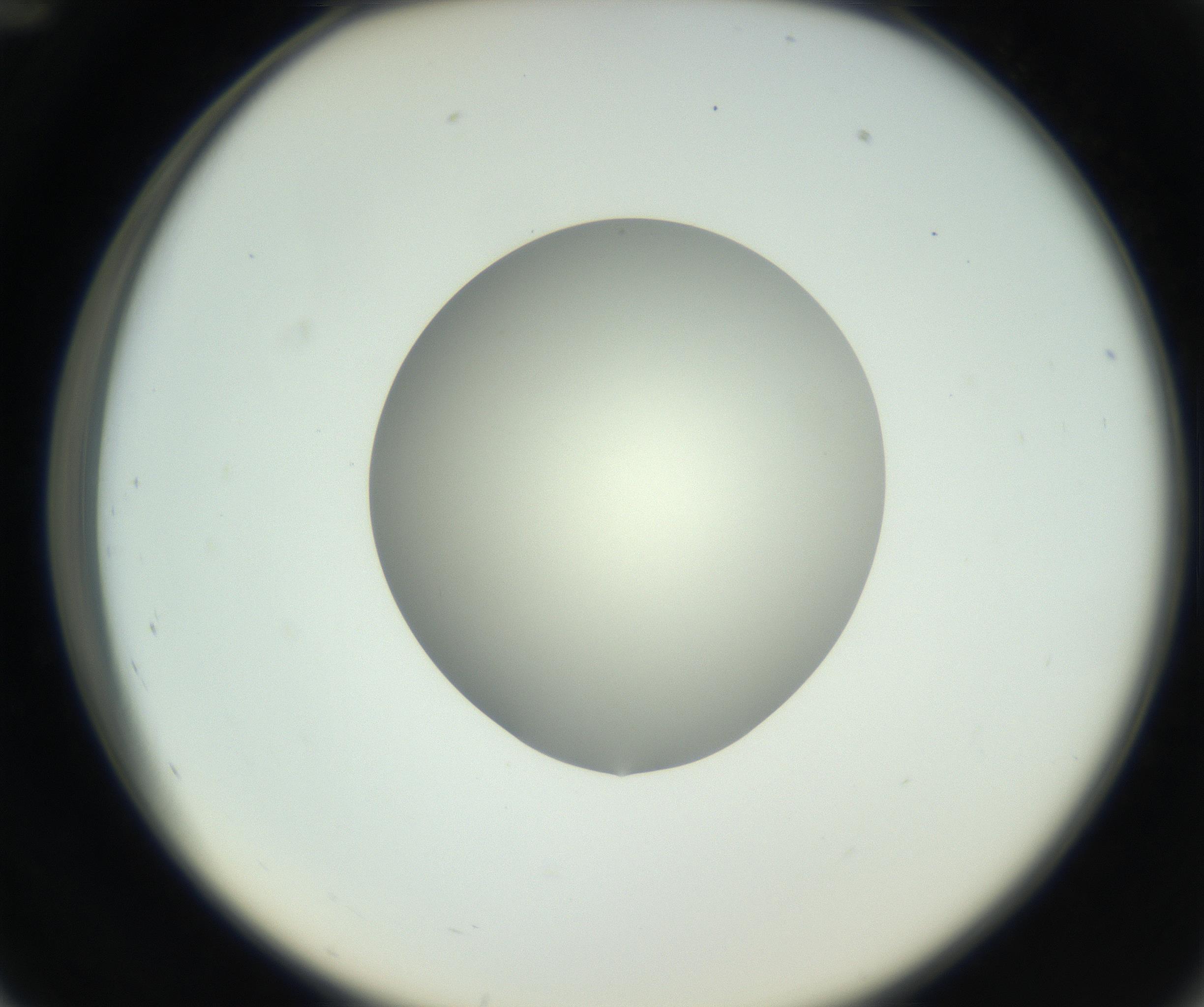 RI01_03_000_0212_Proj1_Clon1_MC_0000MC102736_004_160921_12_04_02_00_99_002_001_RAI.jpg