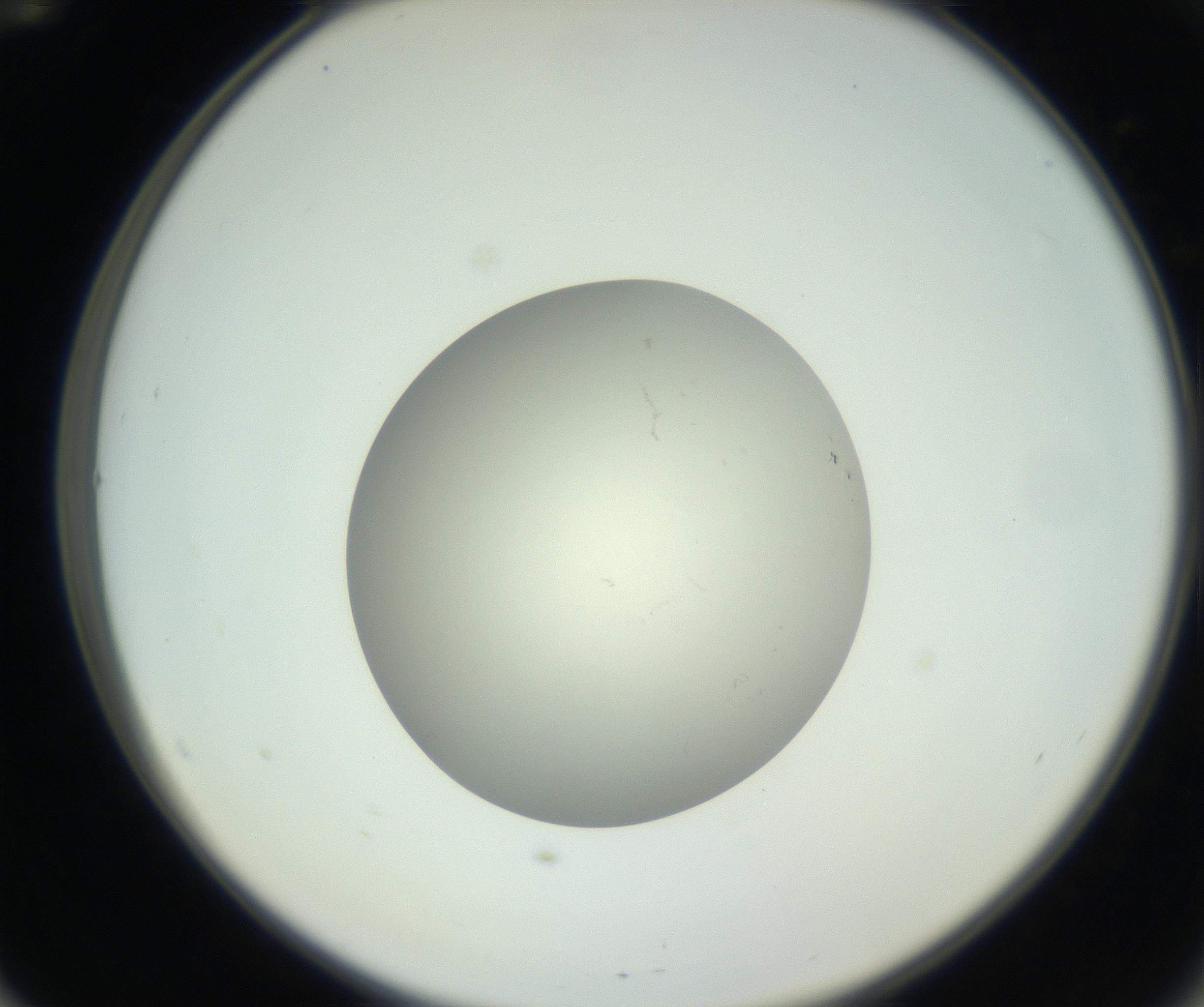 RI01_03_000_0212_Proj1_Clon1_MC_0000MC102736_004_160921_12_05_02_00_99_002_001_RAI.jpg
