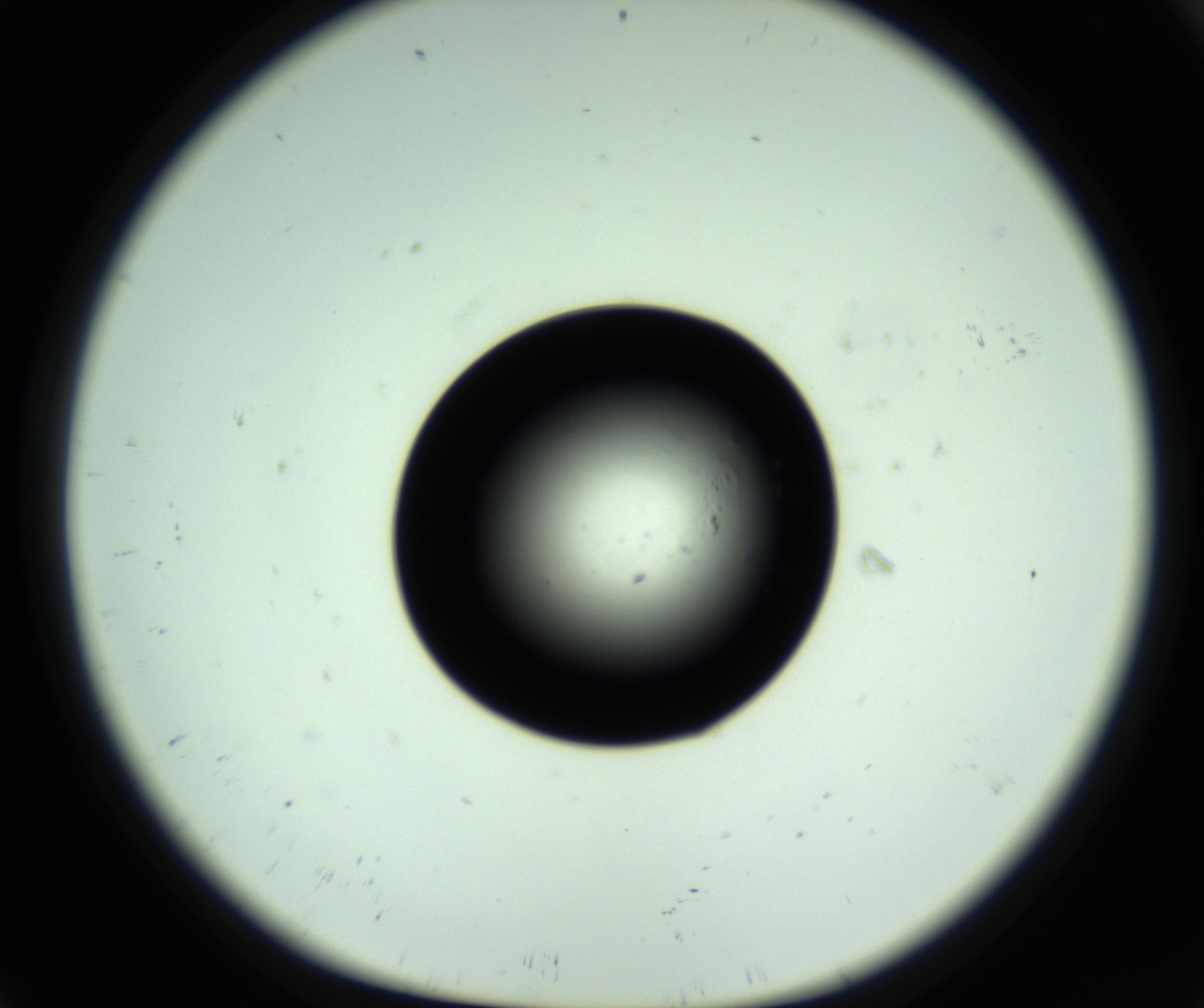 RI01_03_000_0212_Proj1_Clon1_MC_0000MC102741_008_161018_09_01_01_00_98_002_001_RAI.jpg