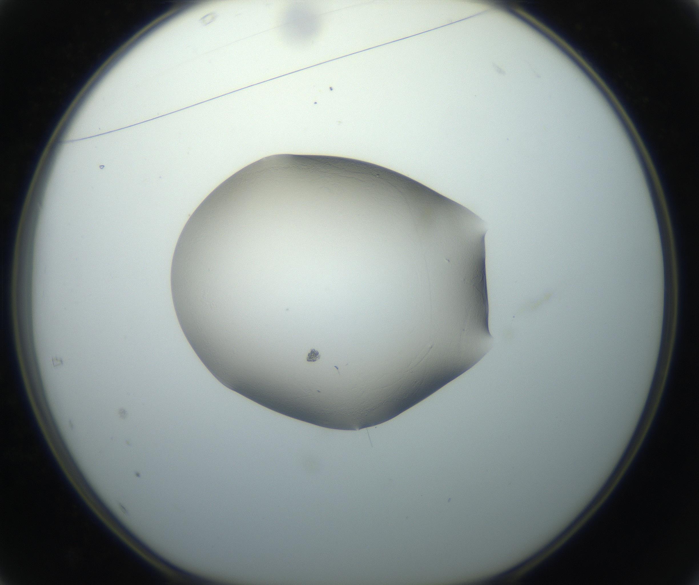 RI01_03_000_0212_Proj1_Clon1_MC_0000MC102743_002_160921_01_04_01_00_99_002_001_RAI.jpg