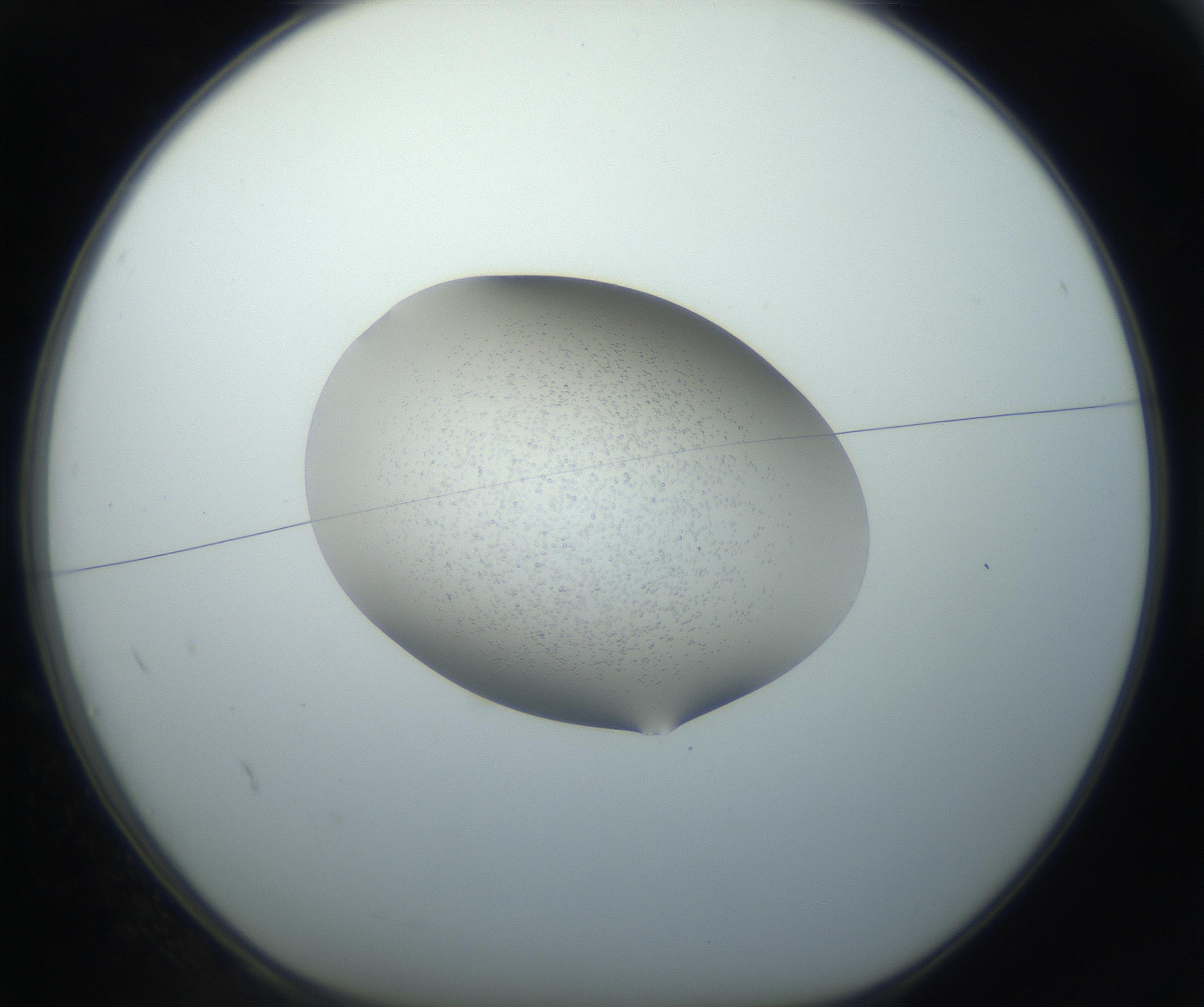 RI01_03_000_0212_Proj1_Clon1_MC_0000MC102743_002_160921_02_01_01_00_99_002_001_RAI.jpg