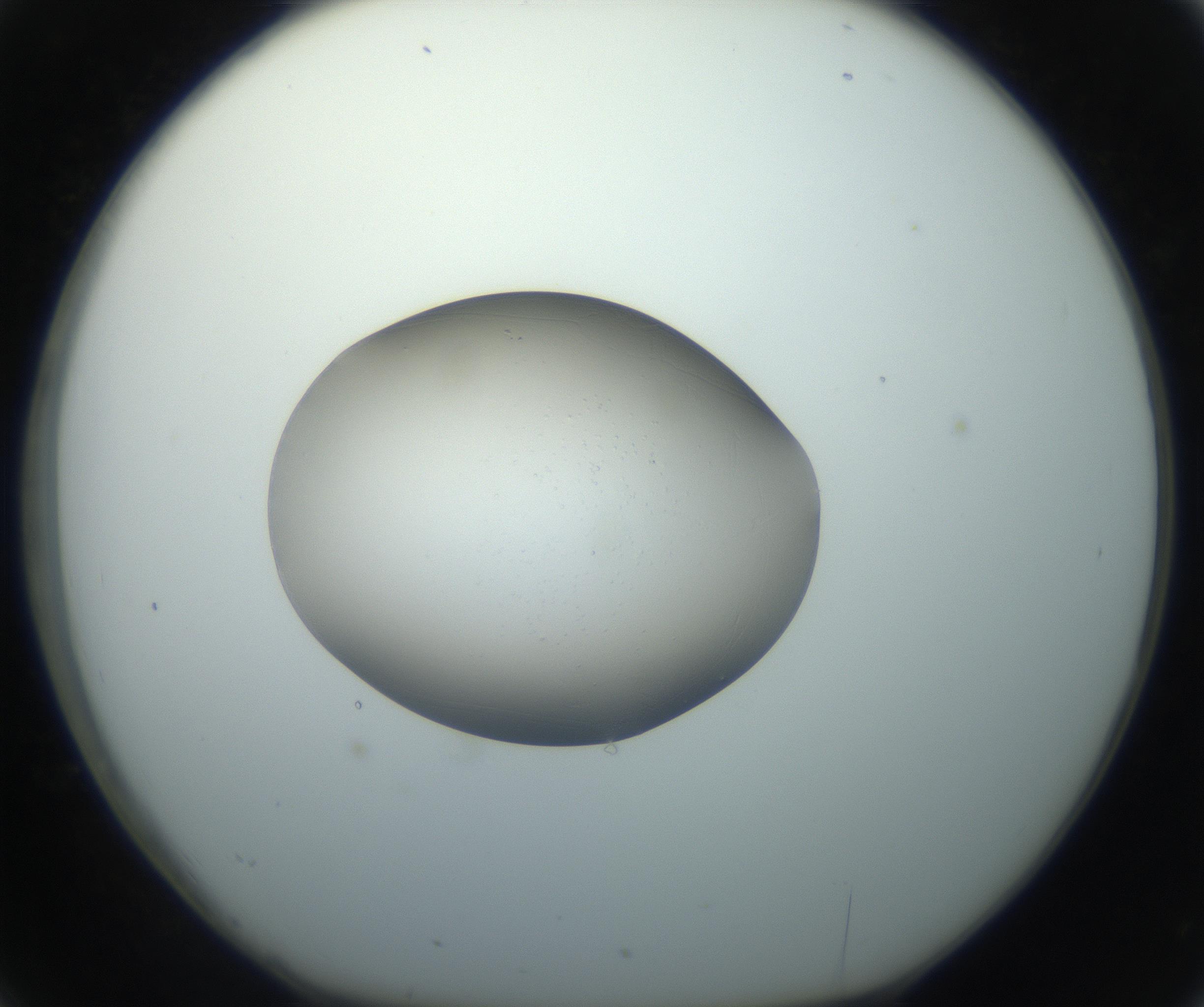 RI01_03_000_0212_Proj1_Clon1_MC_0000MC102743_002_160921_02_03_01_00_99_002_001_RAI.jpg