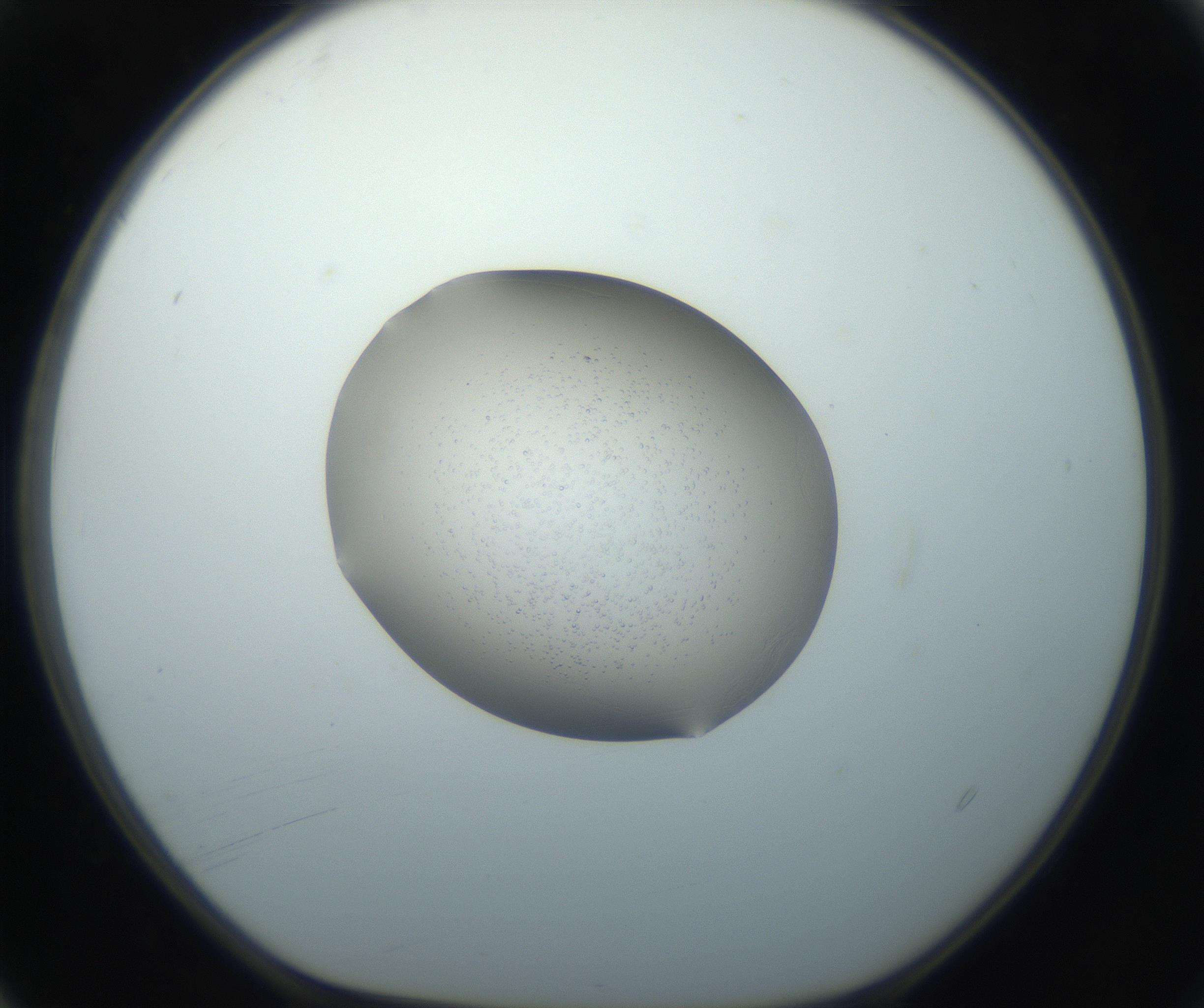 RI01_03_000_0212_Proj1_Clon1_MC_0000MC102743_002_160921_04_01_01_00_99_002_001_RAI.jpg