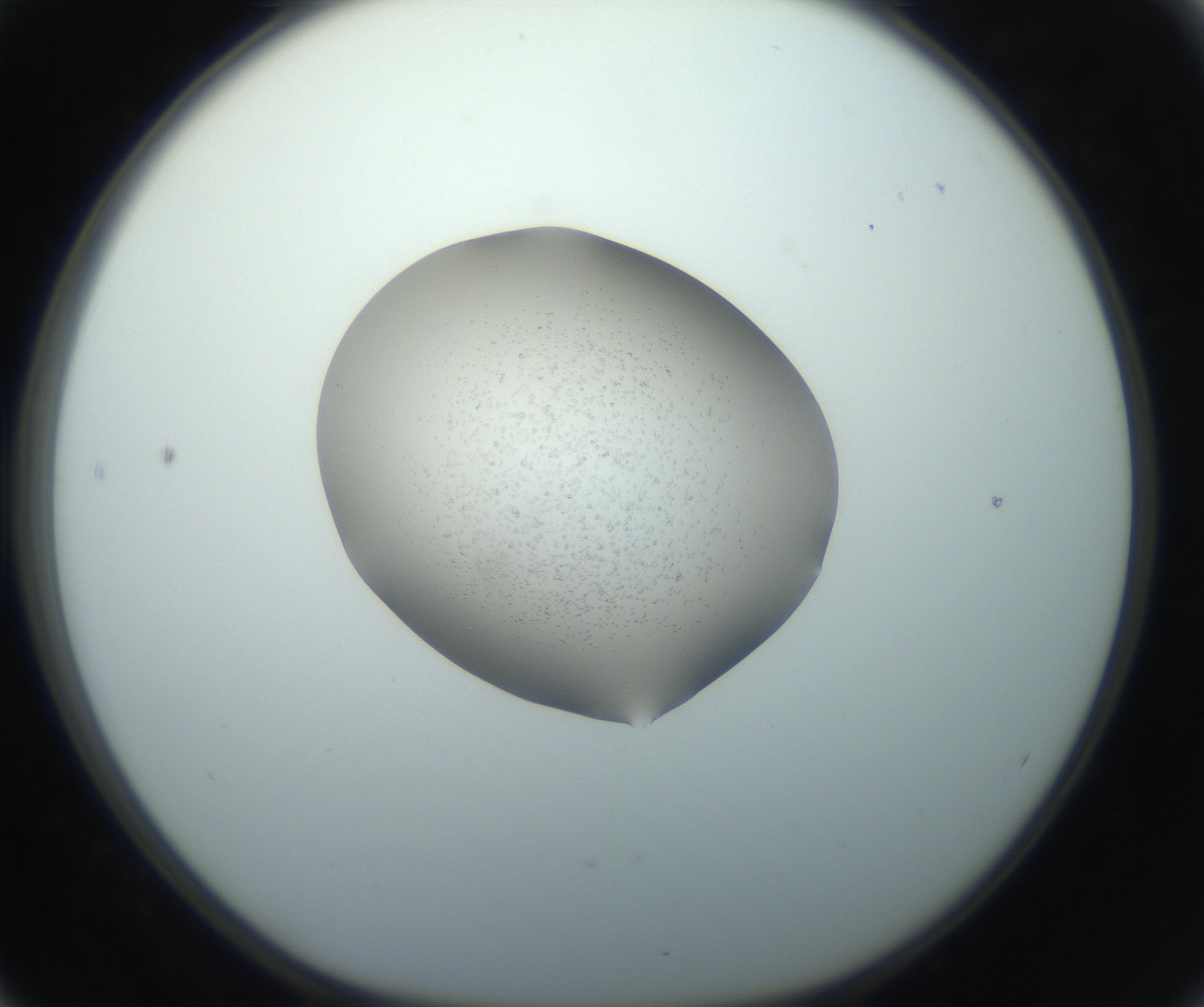RI01_03_000_0212_Proj1_Clon1_MC_0000MC102743_002_160921_04_05_01_00_99_002_001_RAI.jpg