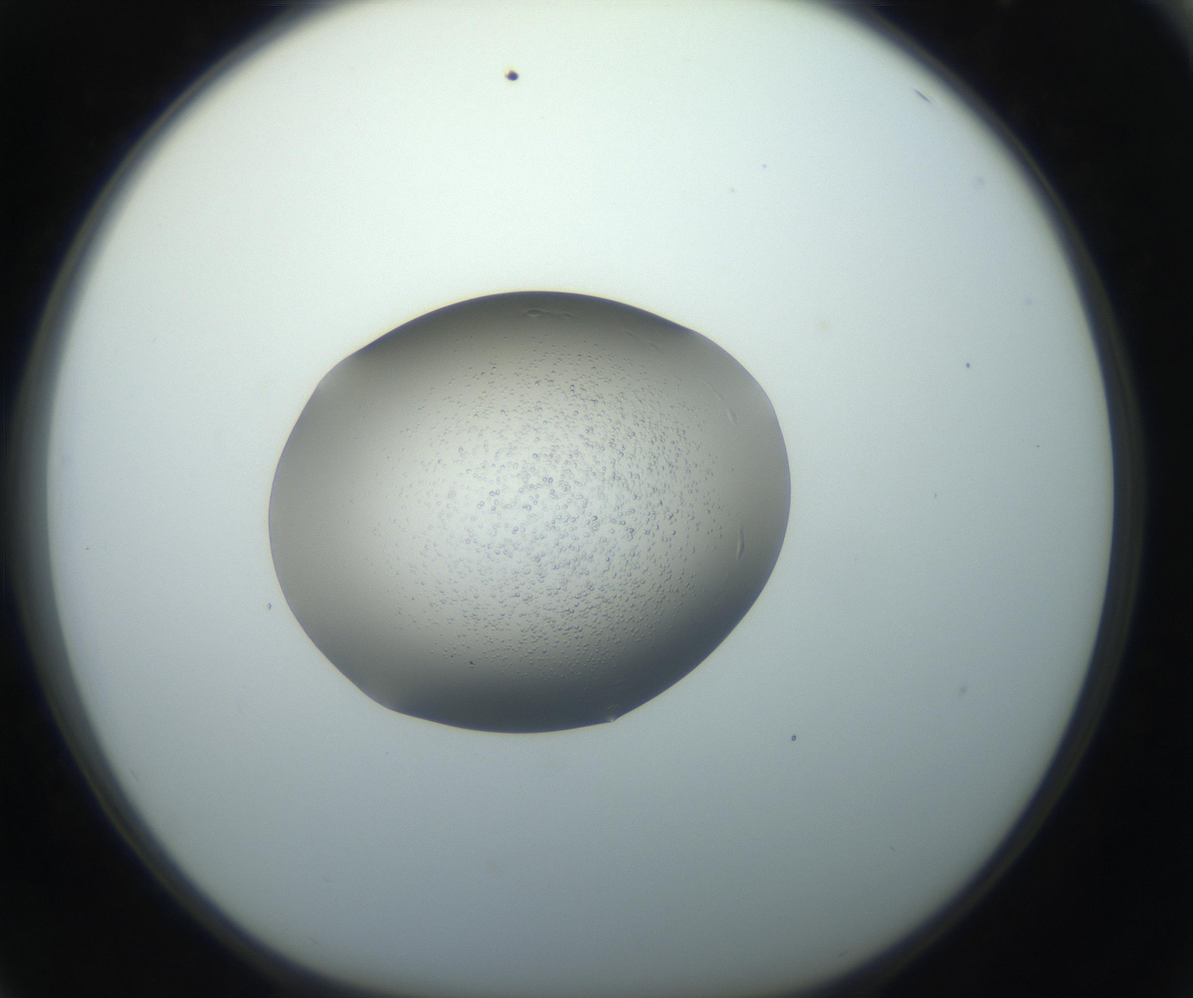 RI01_03_000_0212_Proj1_Clon1_MC_0000MC102743_002_160921_04_06_01_00_99_002_001_RAI.jpg