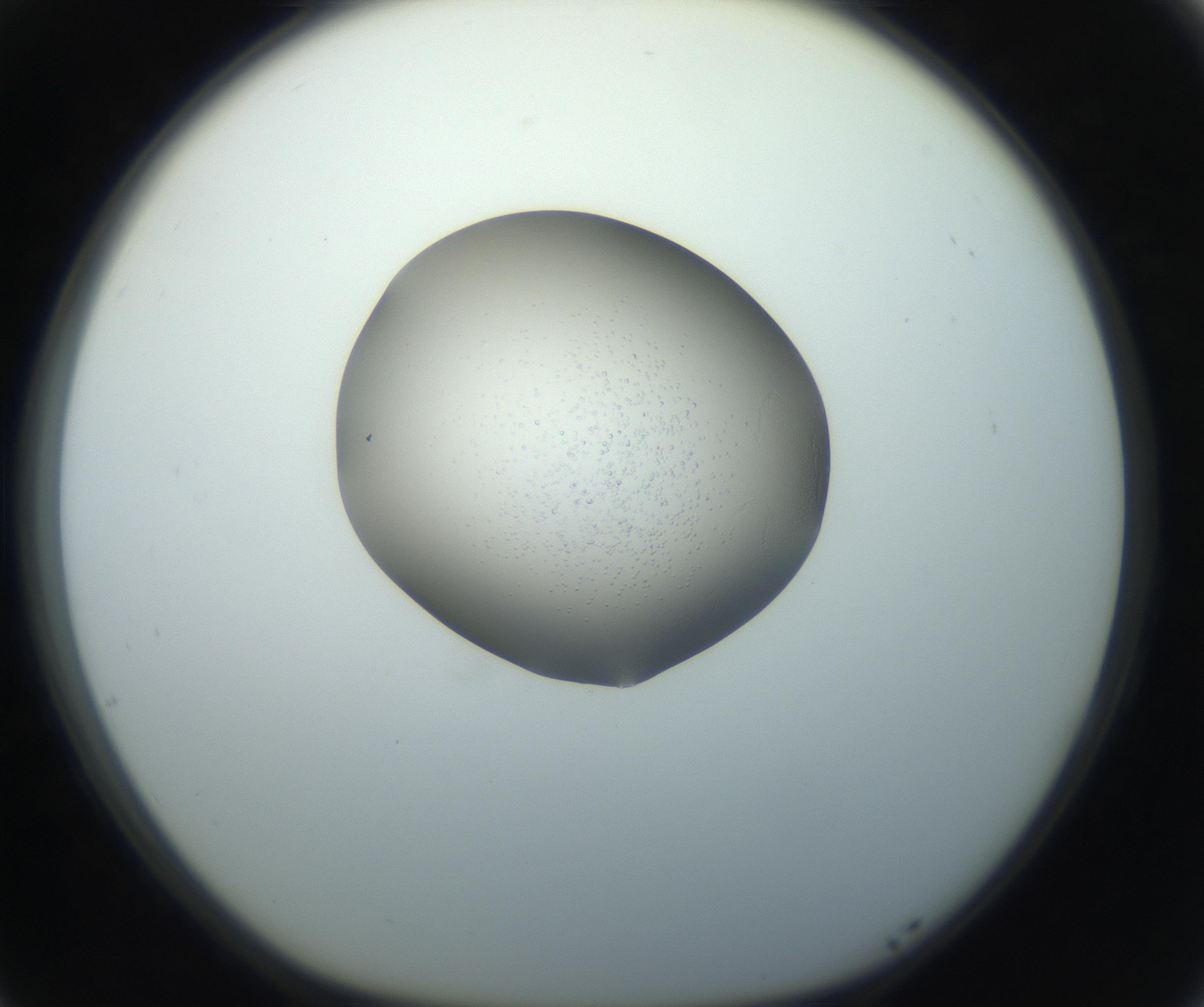 RI01_03_000_0212_Proj1_Clon1_MC_0000MC102743_002_160921_05_07_01_00_99_002_001_RAI.jpg