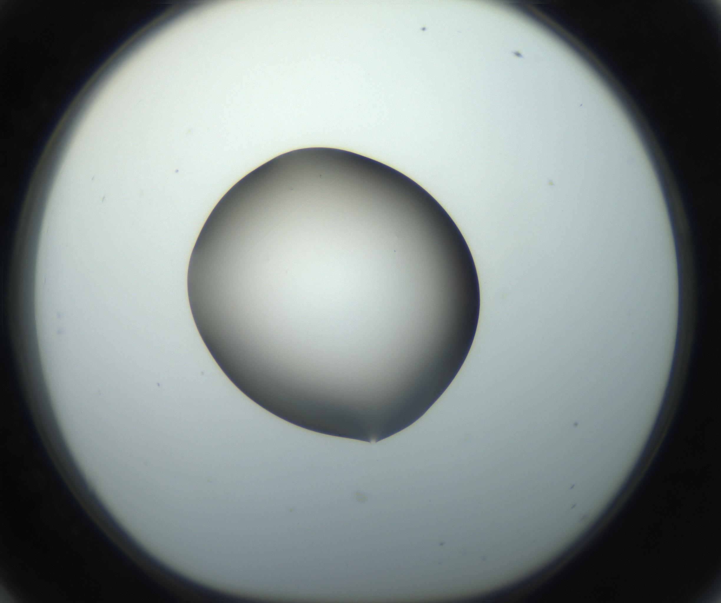 RI01_03_000_0212_Proj1_Clon1_MC_0000MC102743_002_160921_06_05_01_00_99_002_001_RAI.jpg