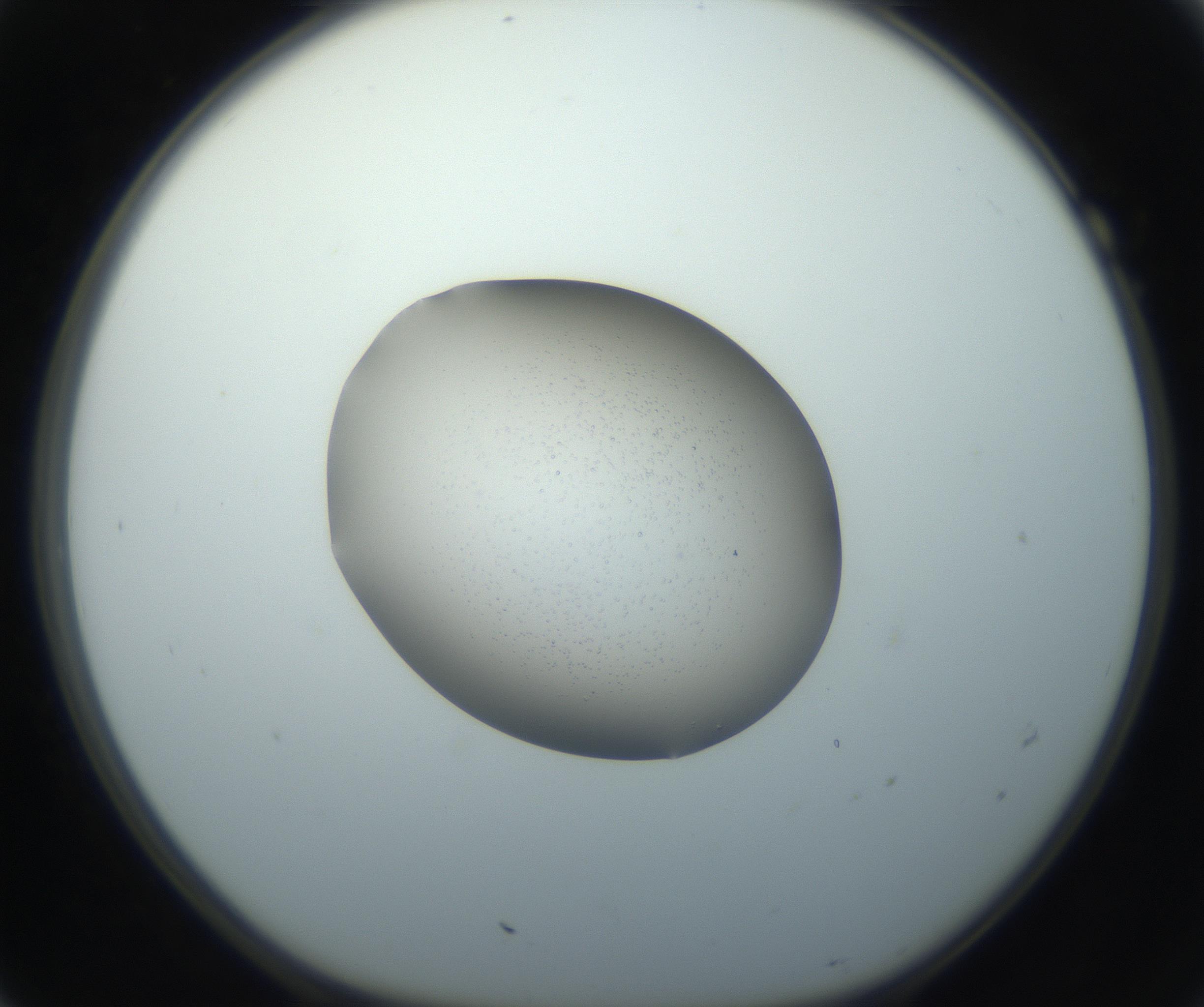 RI01_03_000_0212_Proj1_Clon1_MC_0000MC102743_002_160921_07_01_01_00_99_002_001_RAI.jpg