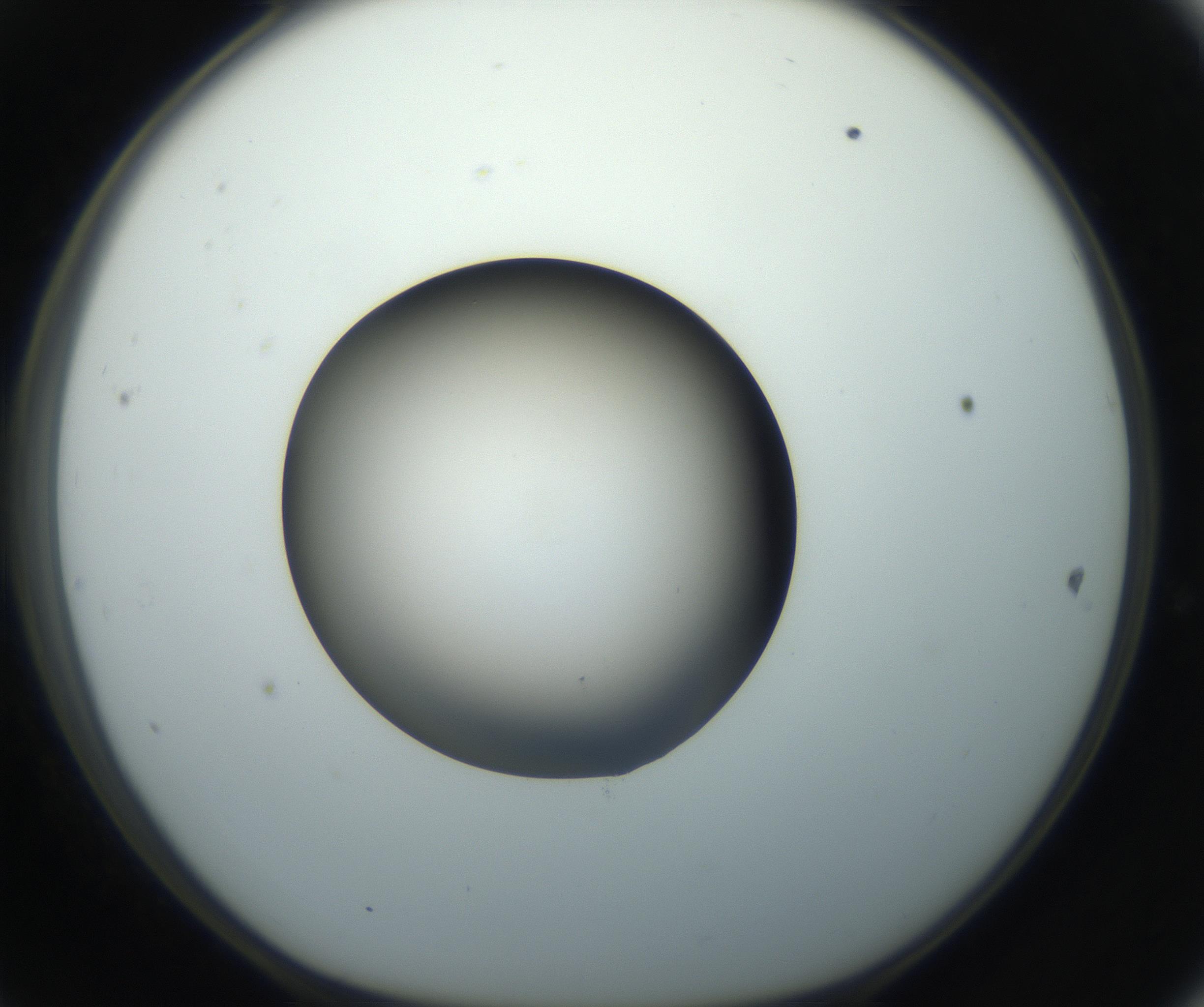 RI01_03_000_0212_Proj1_Clon1_MC_0000MC102743_002_160921_11_04_01_00_99_002_001_RAI.jpg