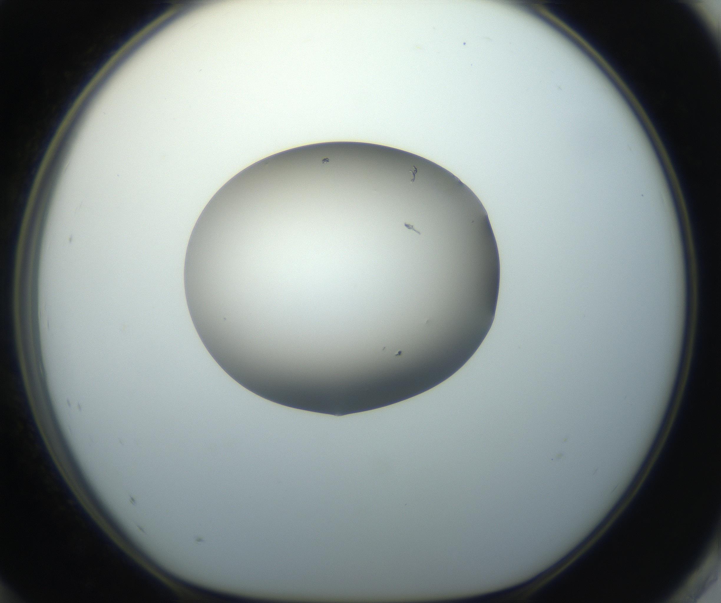 RI01_03_000_0212_Proj1_Clon1_MC_0000MC102743_002_160921_12_08_01_00_99_002_001_RAI.jpg