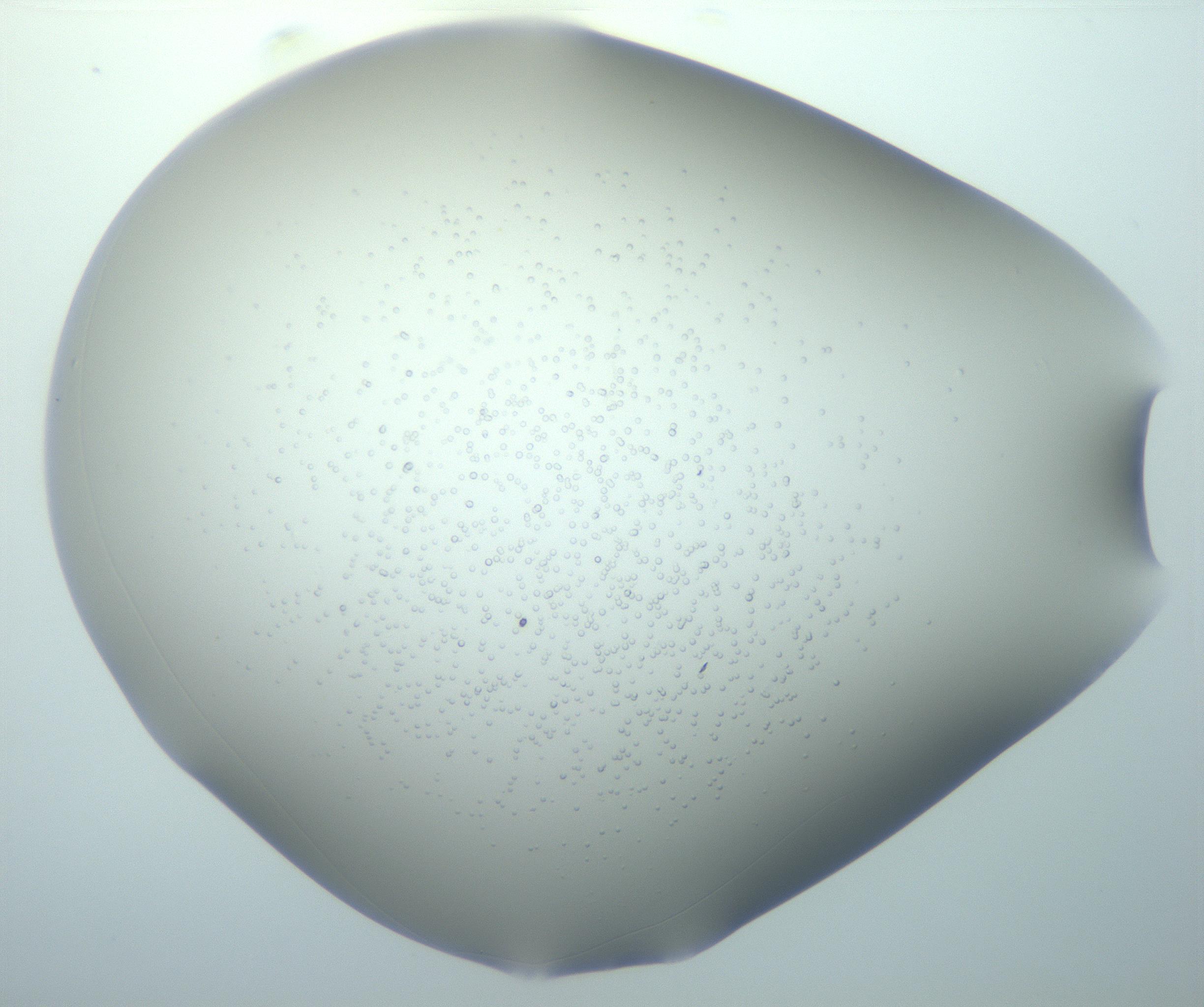 RI01_03_000_0212_Proj1_Clon1_MC_0000MC102743_015_161130_01_05_01_00_99_002_001_RAI.jpg