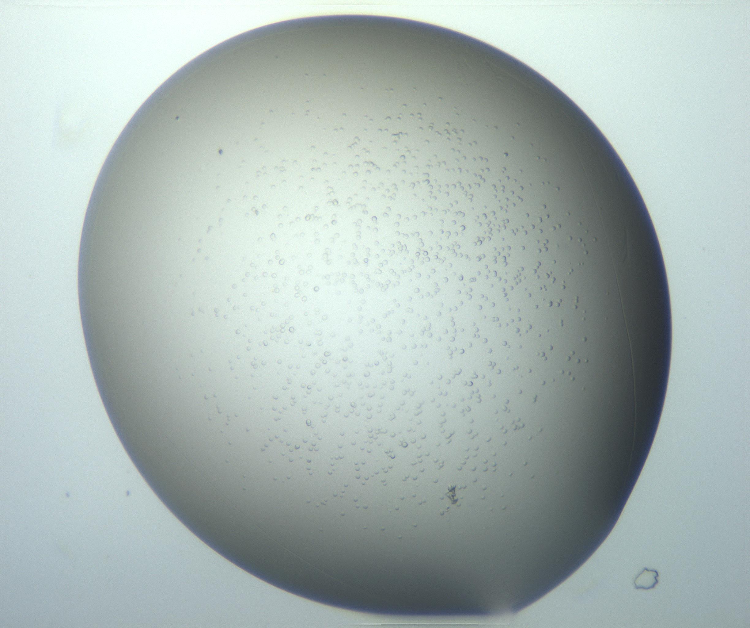 RI01_03_000_0212_Proj1_Clon1_MC_0000MC102743_015_161130_12_04_01_00_99_002_001_RAI.jpg