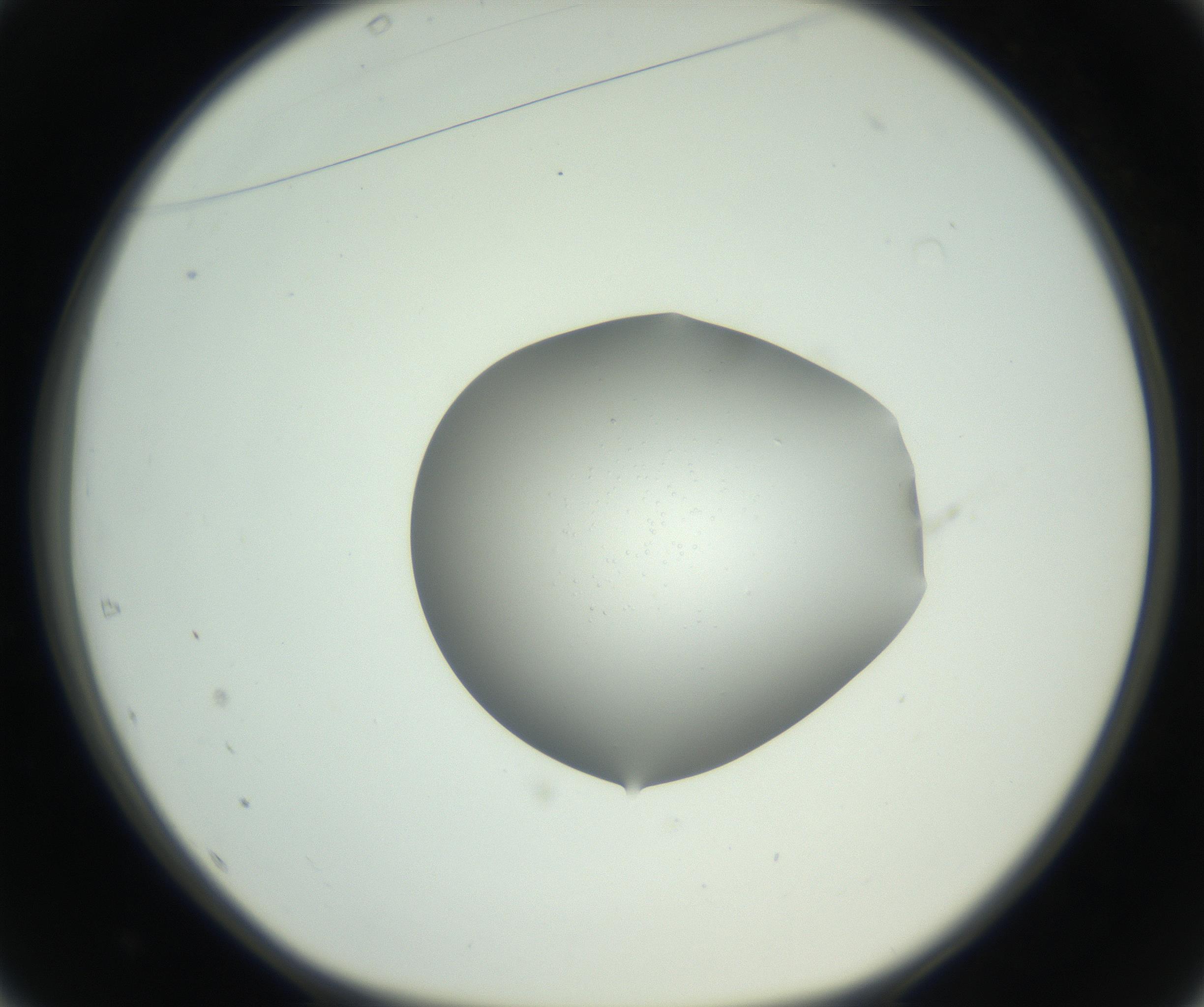 RI01_03_000_0212_Proj1_Clon1_MC_0000MC102744_002_160922_01_04_01_00_99_002_001_RAI.jpg