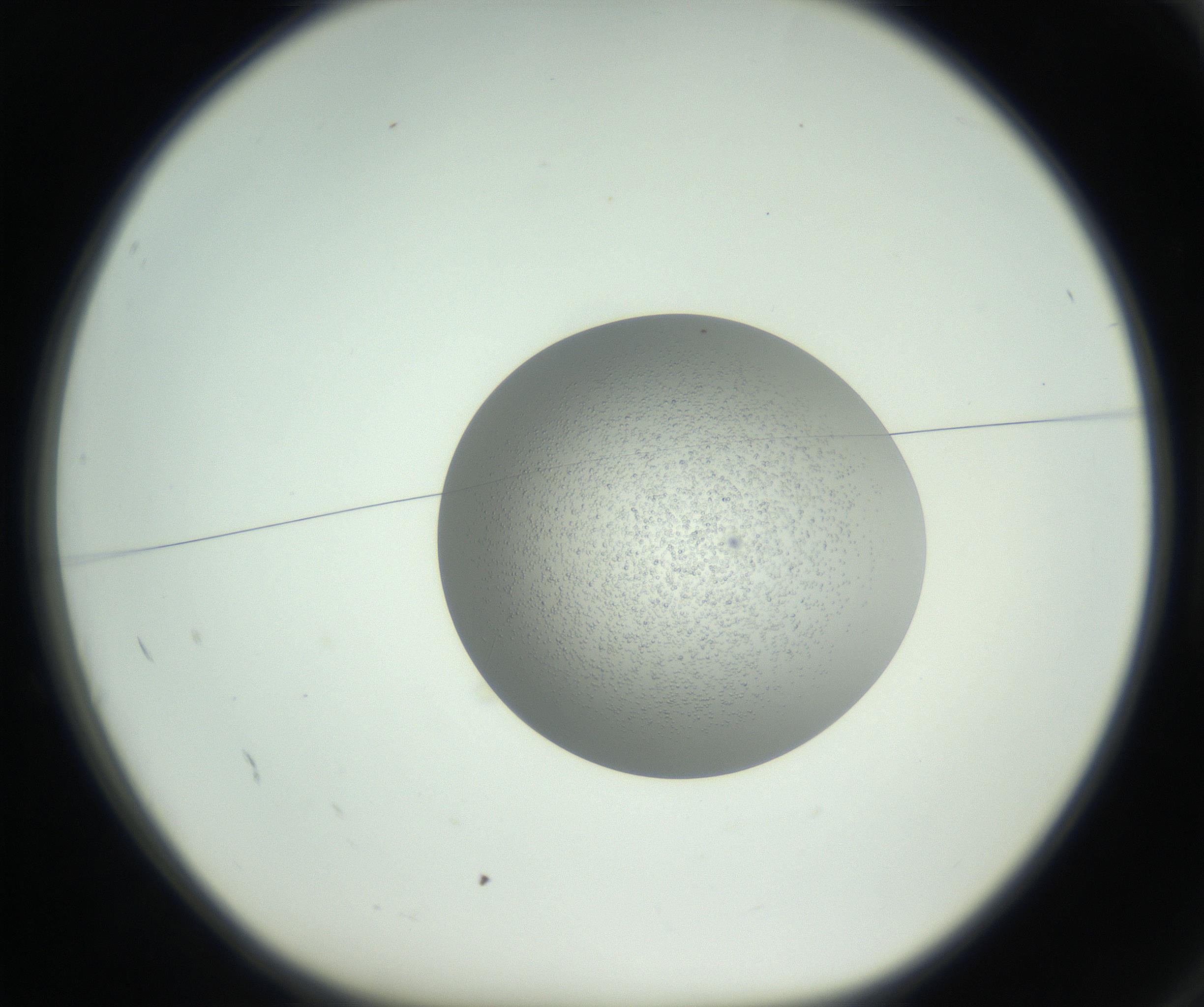 RI01_03_000_0212_Proj1_Clon1_MC_0000MC102744_002_160922_02_01_01_00_99_002_001_RAI.jpg