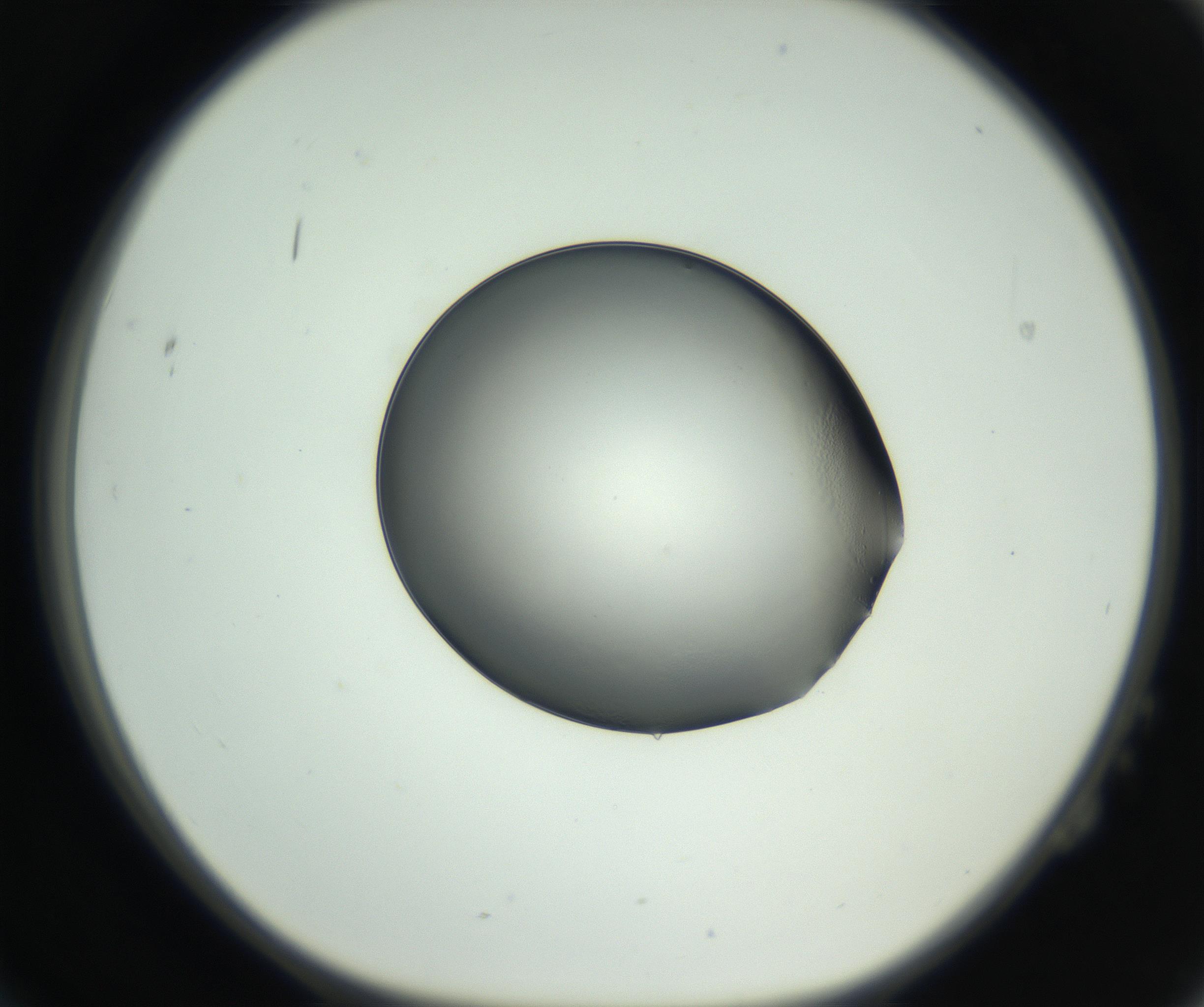 RI01_03_000_0212_Proj1_Clon1_MC_0000MC102744_002_160922_02_02_01_00_99_002_001_RAI.jpg