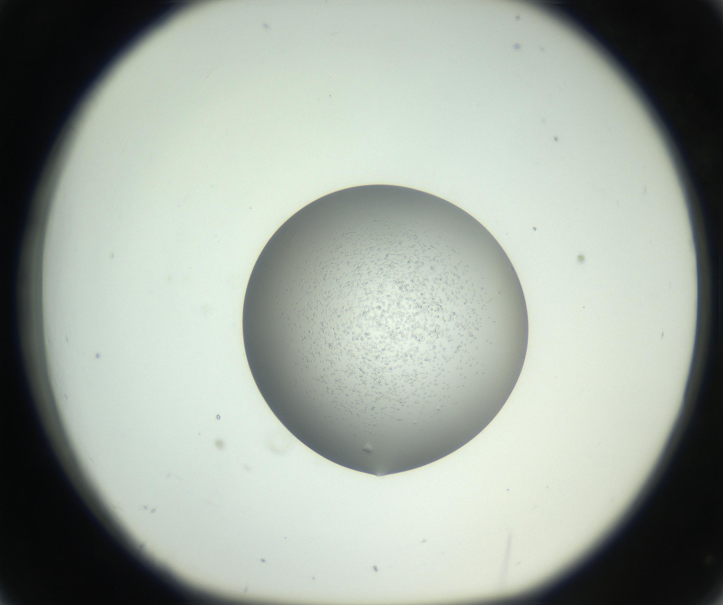 RI01_03_000_0212_Proj1_Clon1_MC_0000MC102744_002_160922_02_03_01_00_99_002_001_RAI.jpg