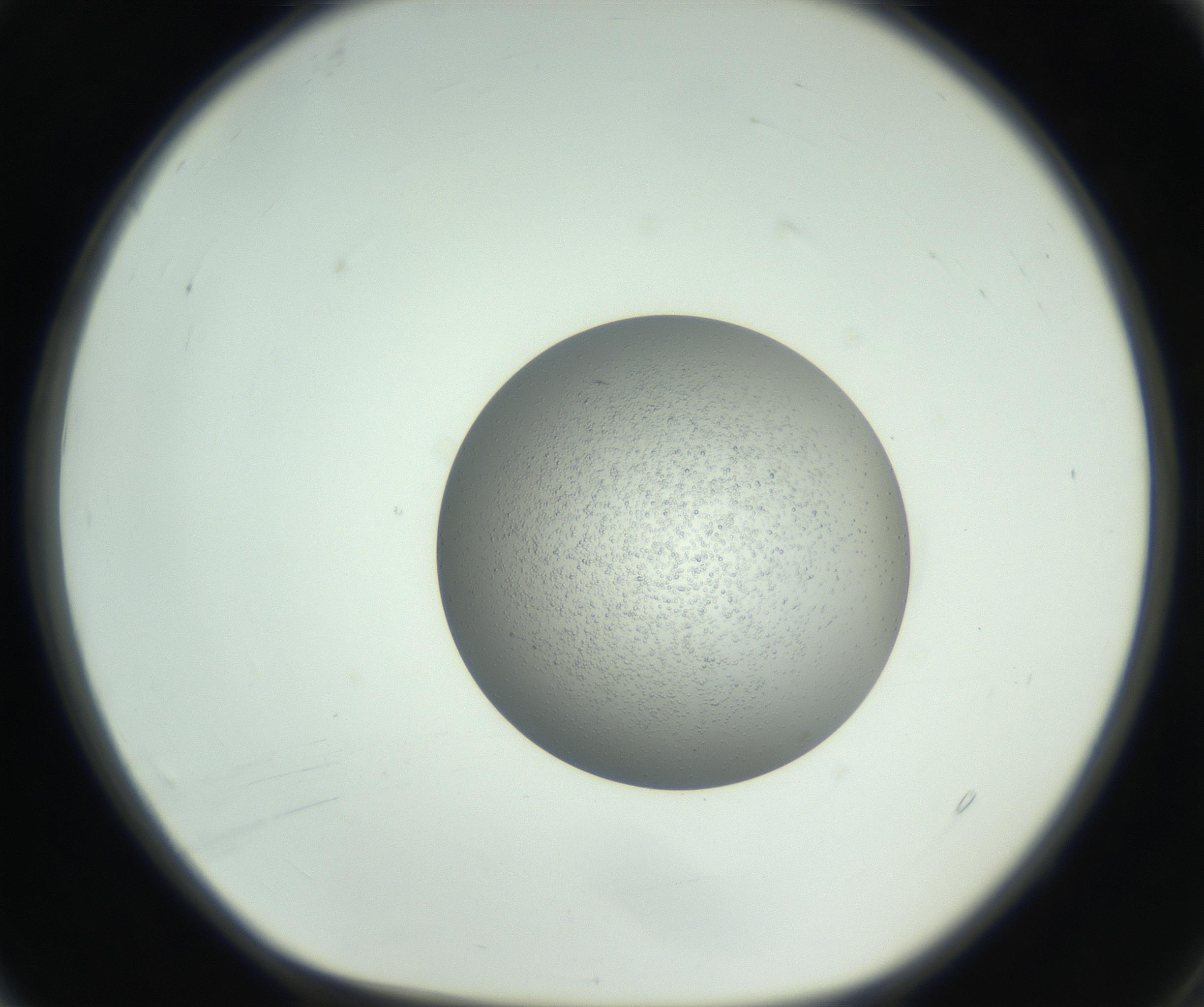 RI01_03_000_0212_Proj1_Clon1_MC_0000MC102744_002_160922_04_01_01_00_99_002_001_RAI.jpg