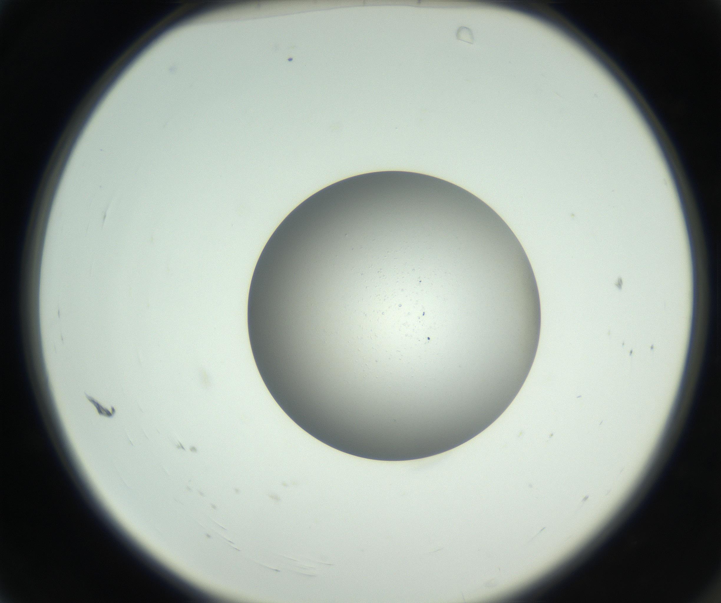 RI01_03_000_0212_Proj1_Clon1_MC_0000MC102744_002_160922_04_01_02_00_99_002_001_RAI.jpg