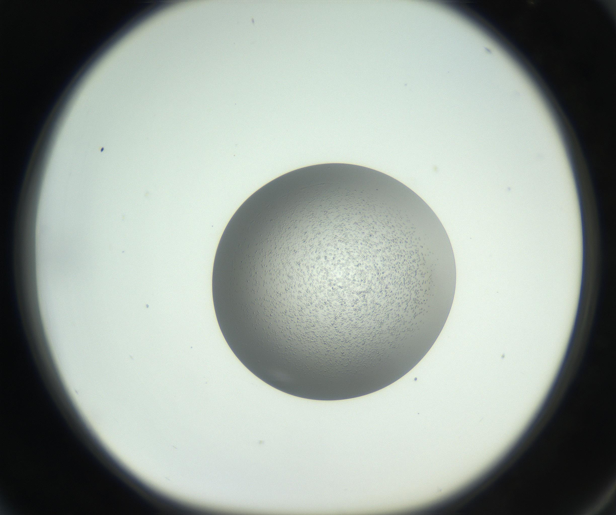 RI01_03_000_0212_Proj1_Clon1_MC_0000MC102744_002_160922_04_06_01_00_99_002_001_RAI.jpg