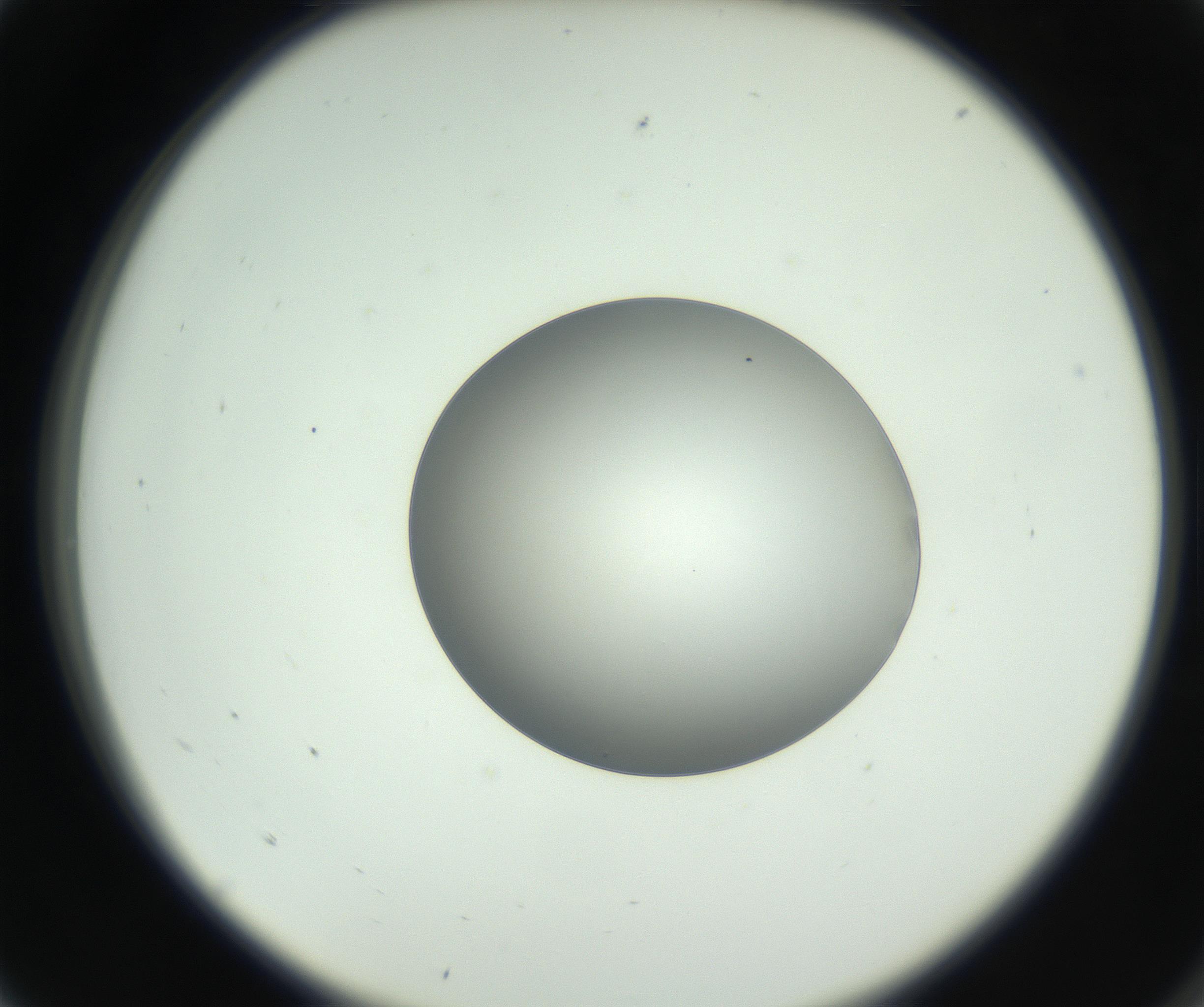 RI01_03_000_0212_Proj1_Clon1_MC_0000MC102744_002_160922_05_01_02_00_99_002_001_RAI.jpg
